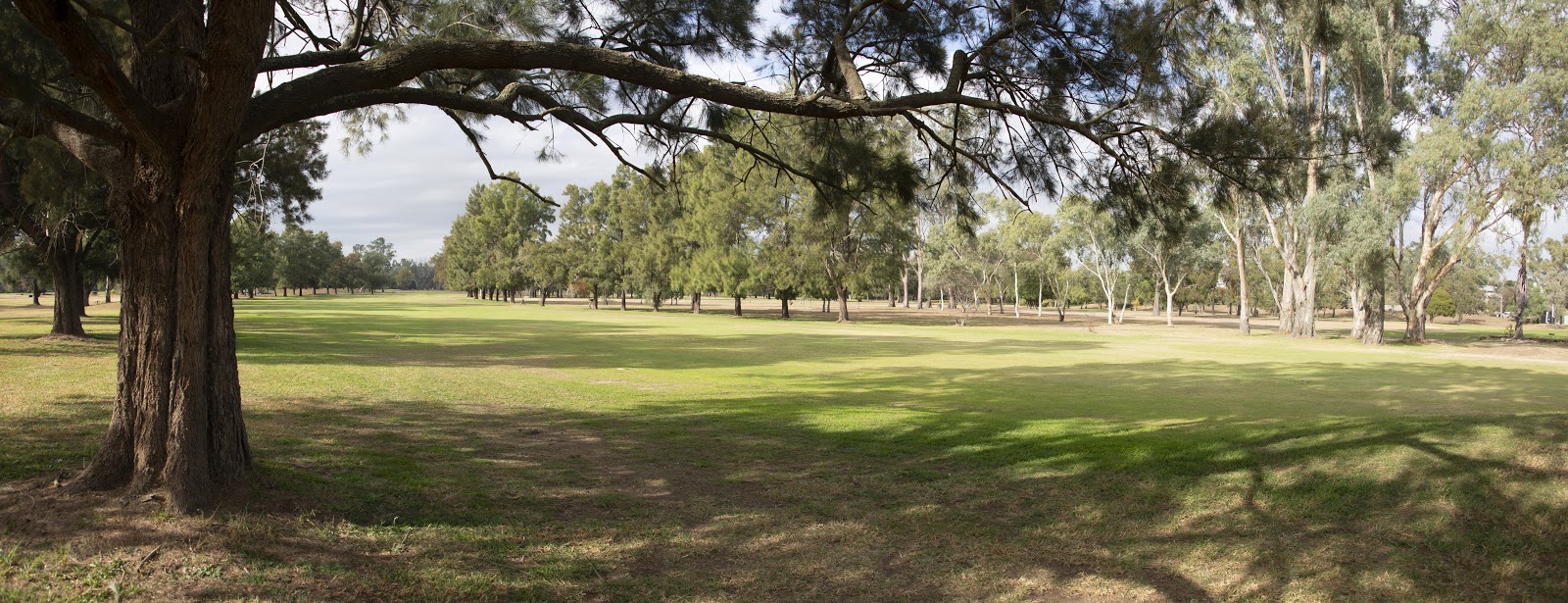 Muswellbrook Golf Club in Muswellbrook - photo 7