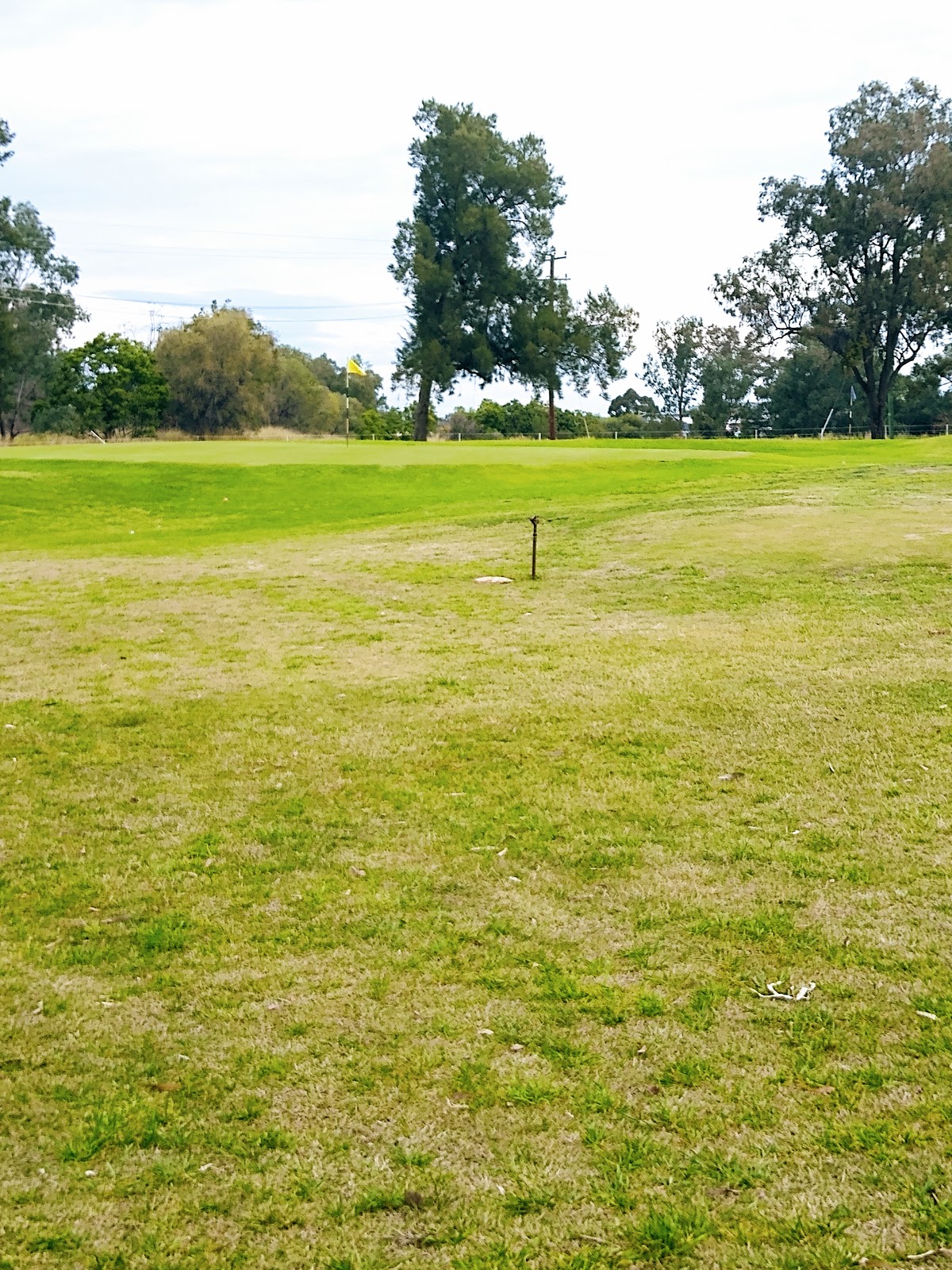 Narrabri Golf Club Ltd in Narrabri - photo 1
