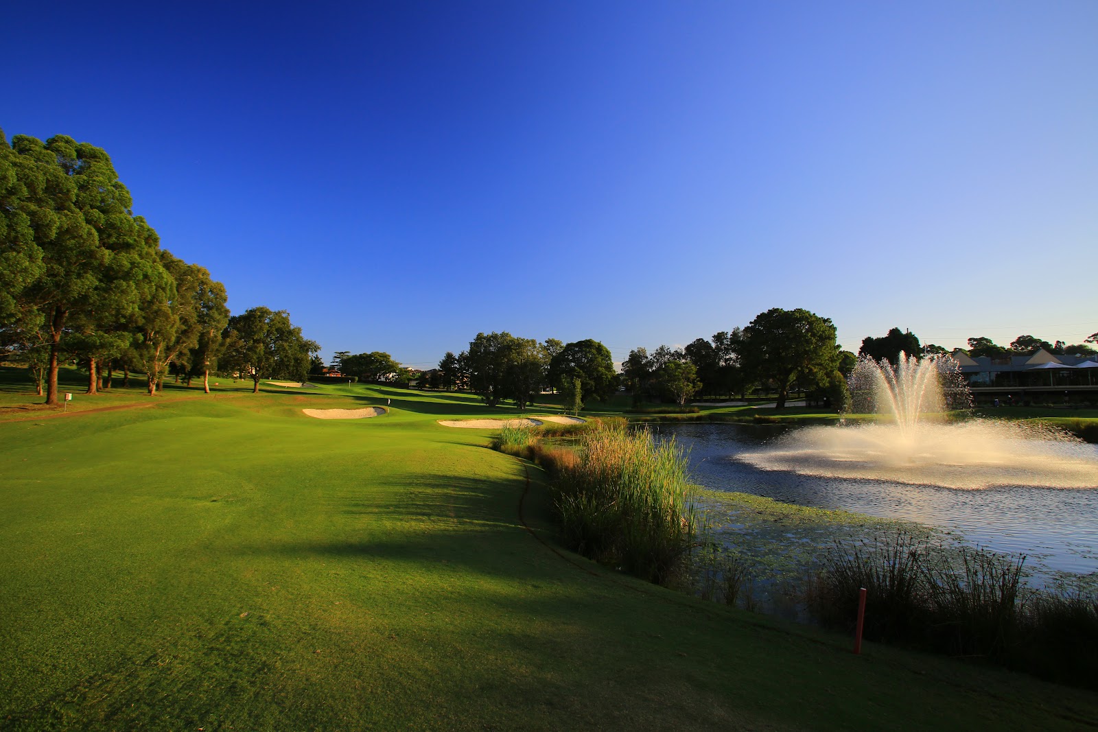 North Ryde Golf Club in North Ryde - photo 3