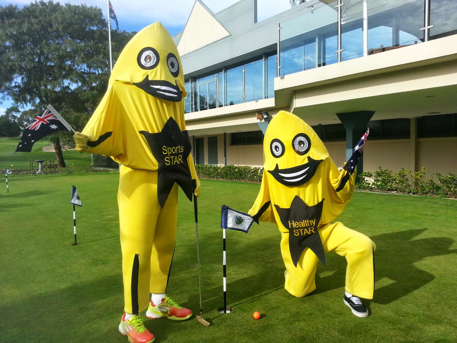 North Ryde Golf Club in North Ryde - photo 7