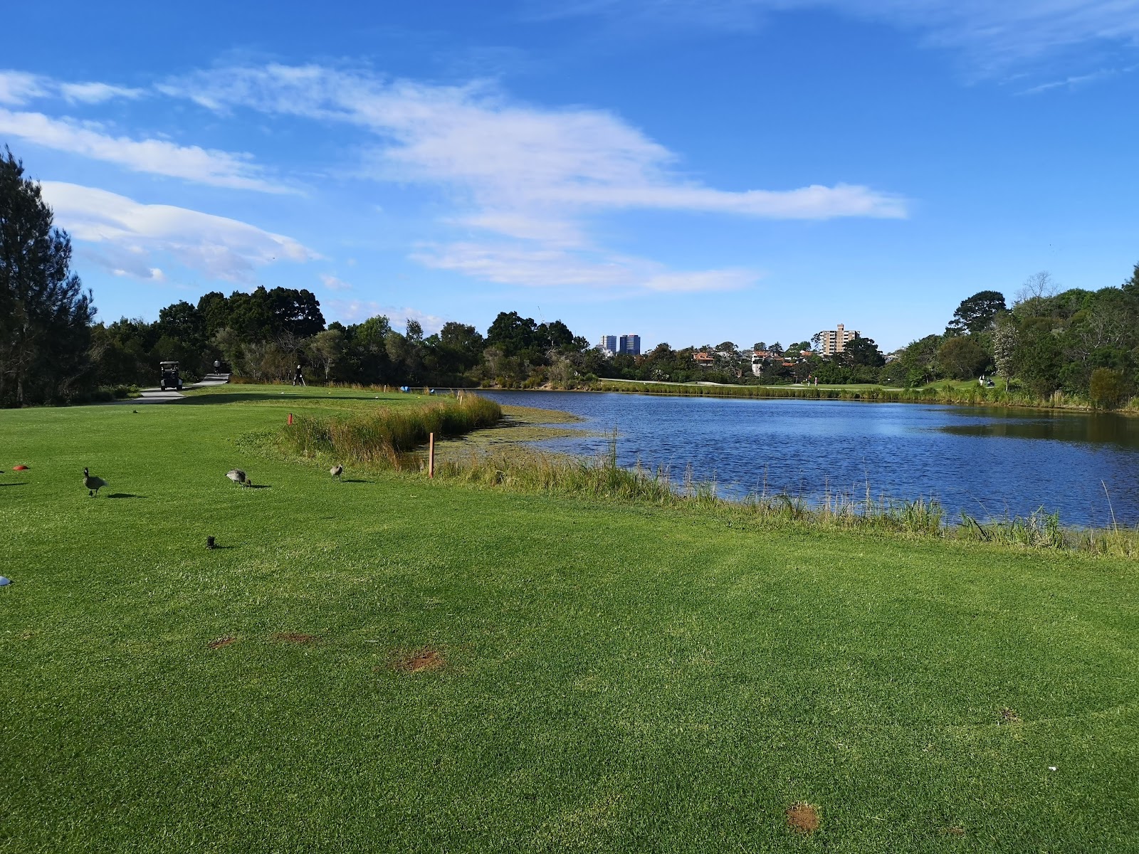 Northbridge Golf Club Limited in Northbridge - photo 4