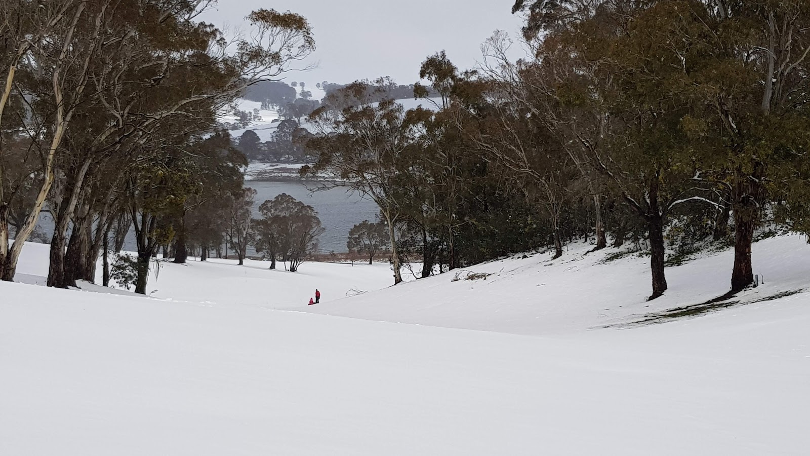 Oberon Golf Club Ltd in Oberon - photo 6