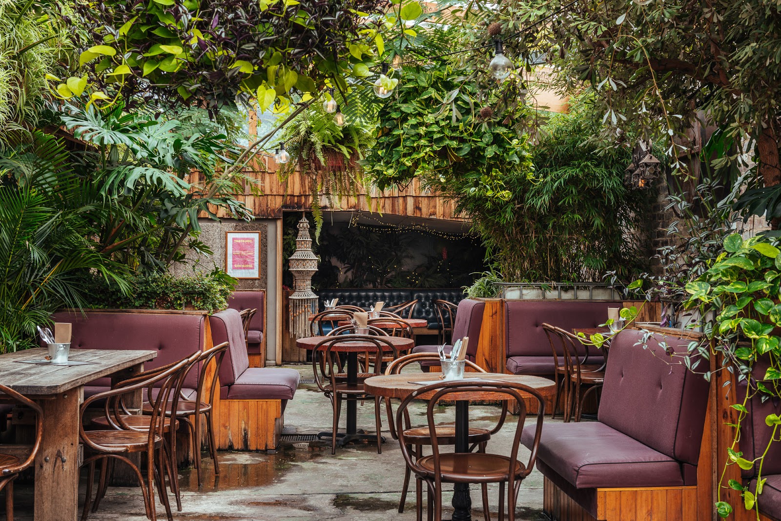 Oxford Tavern Hotel in Petersham - photo 4