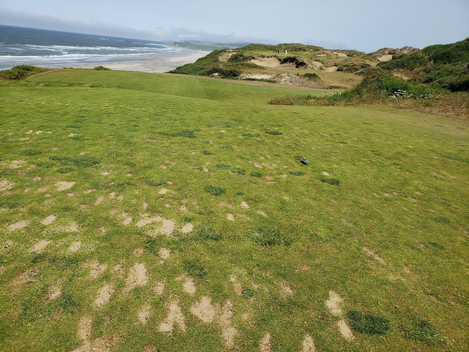 Pacific Dunes Golf Resort in Medowie - photo 3