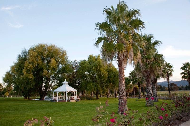 Parklands Resort & Conference Centre in Putta Bucca - photo 3
