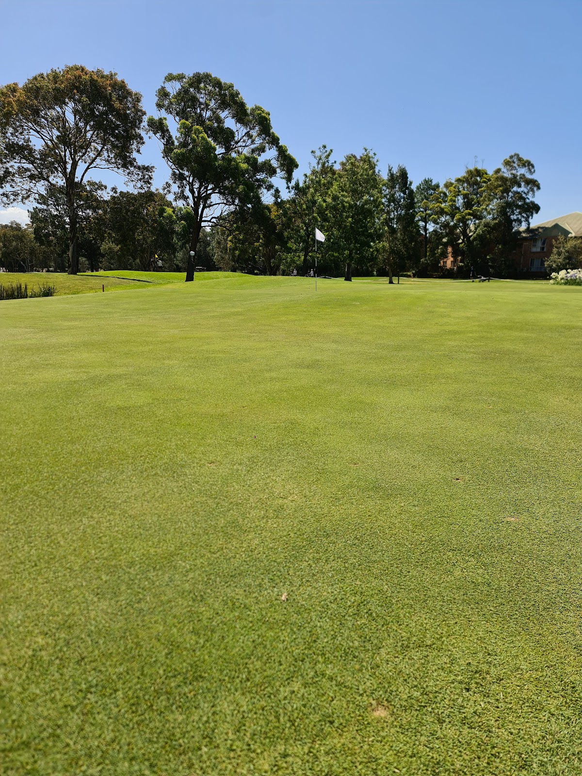 Port Kembla Golf Club Ltd in Primbee - photo 7