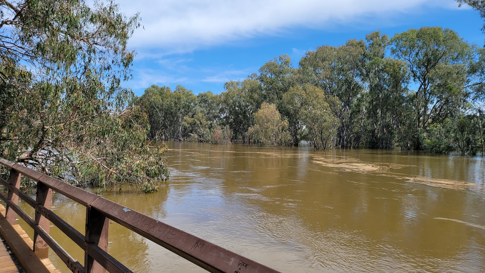 Port of Bourke Hotel in Bourke - photo 9