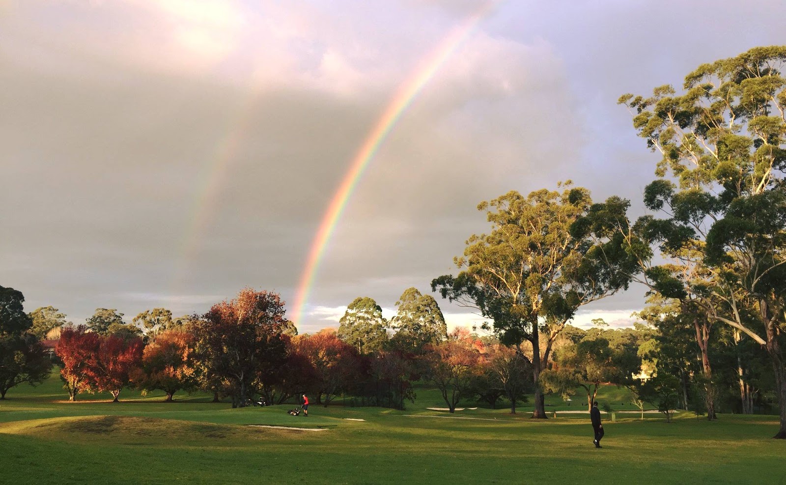 Pymble Golf Club Ltd in St Ives - photo 5