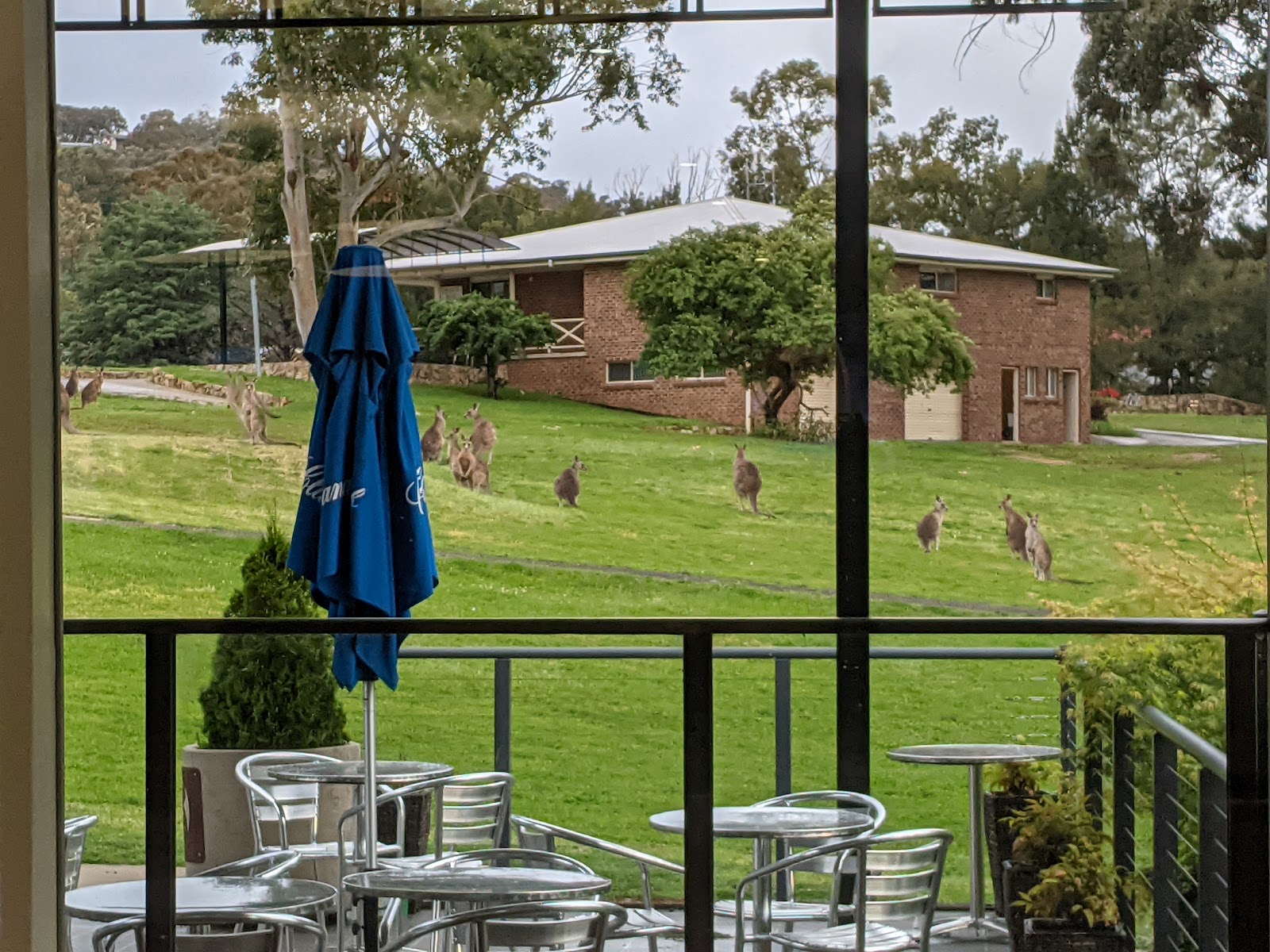 Queanbeyan Golf Club Limited in Queanbeyan East - photo 2