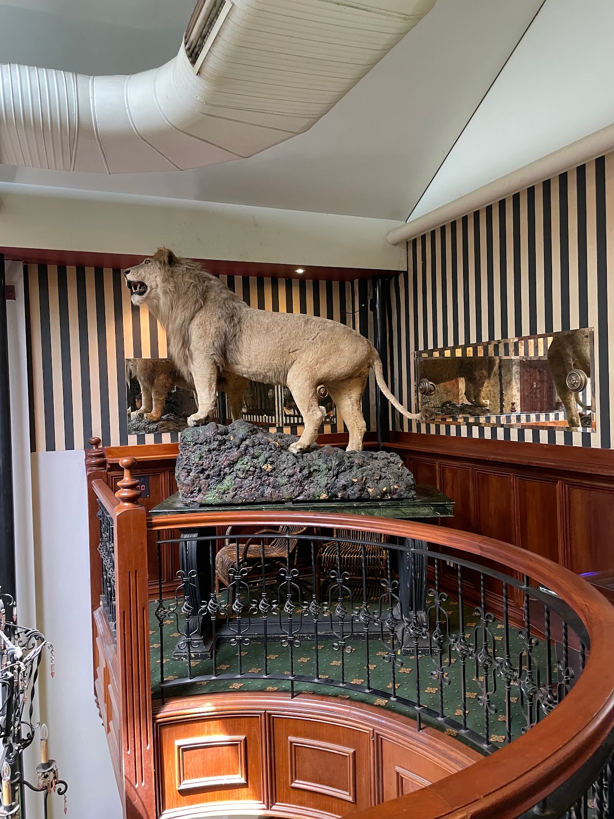Red Lion Tavern in Wagga Wagga - photo 5