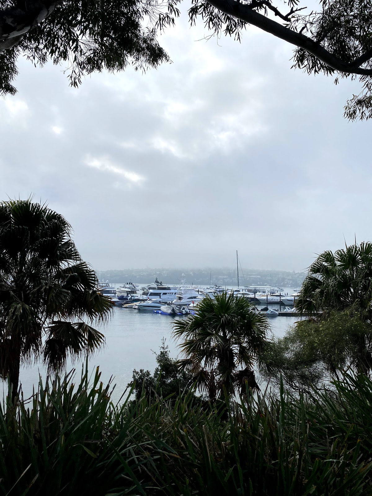Rose Bay Hotel in Rose Bay - photo 5
