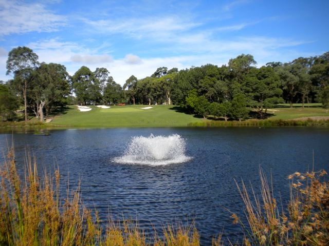 Roseville Golf Club Limited in Roseville - photo 7