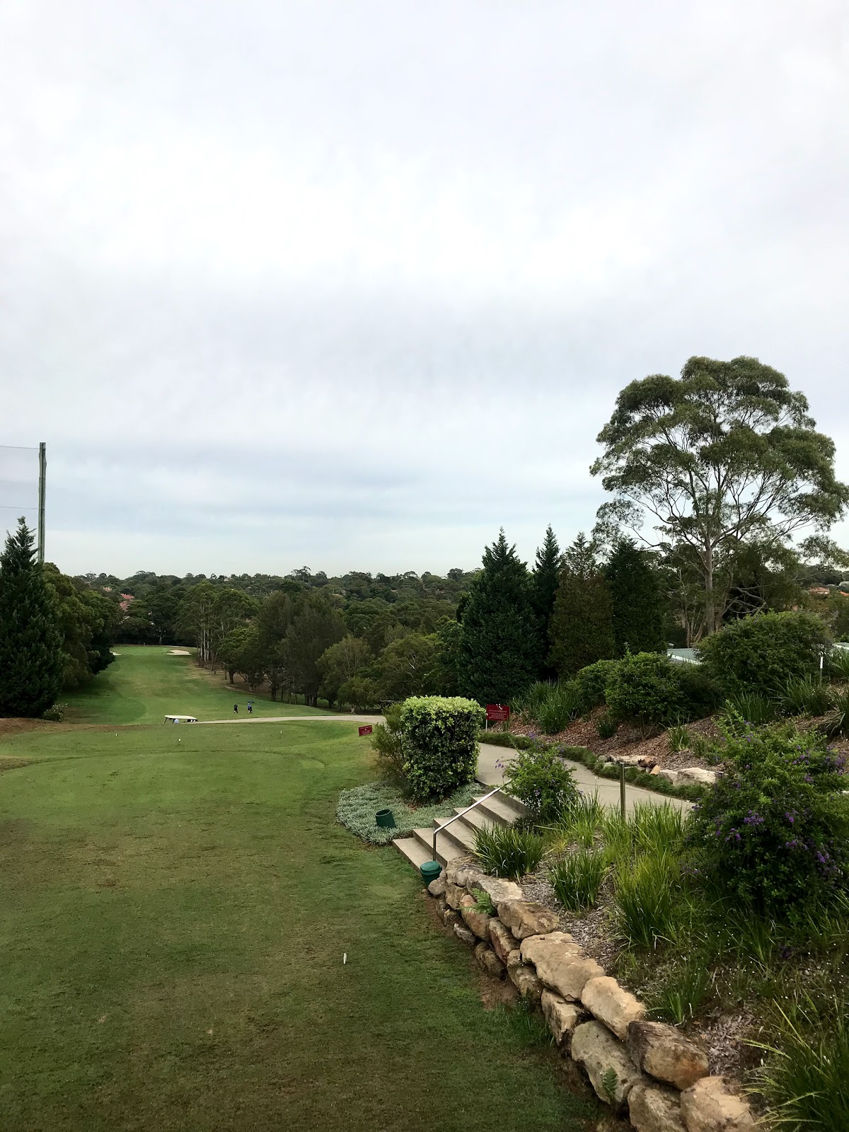 Roseville Golf Club Limited in Roseville - photo 6
