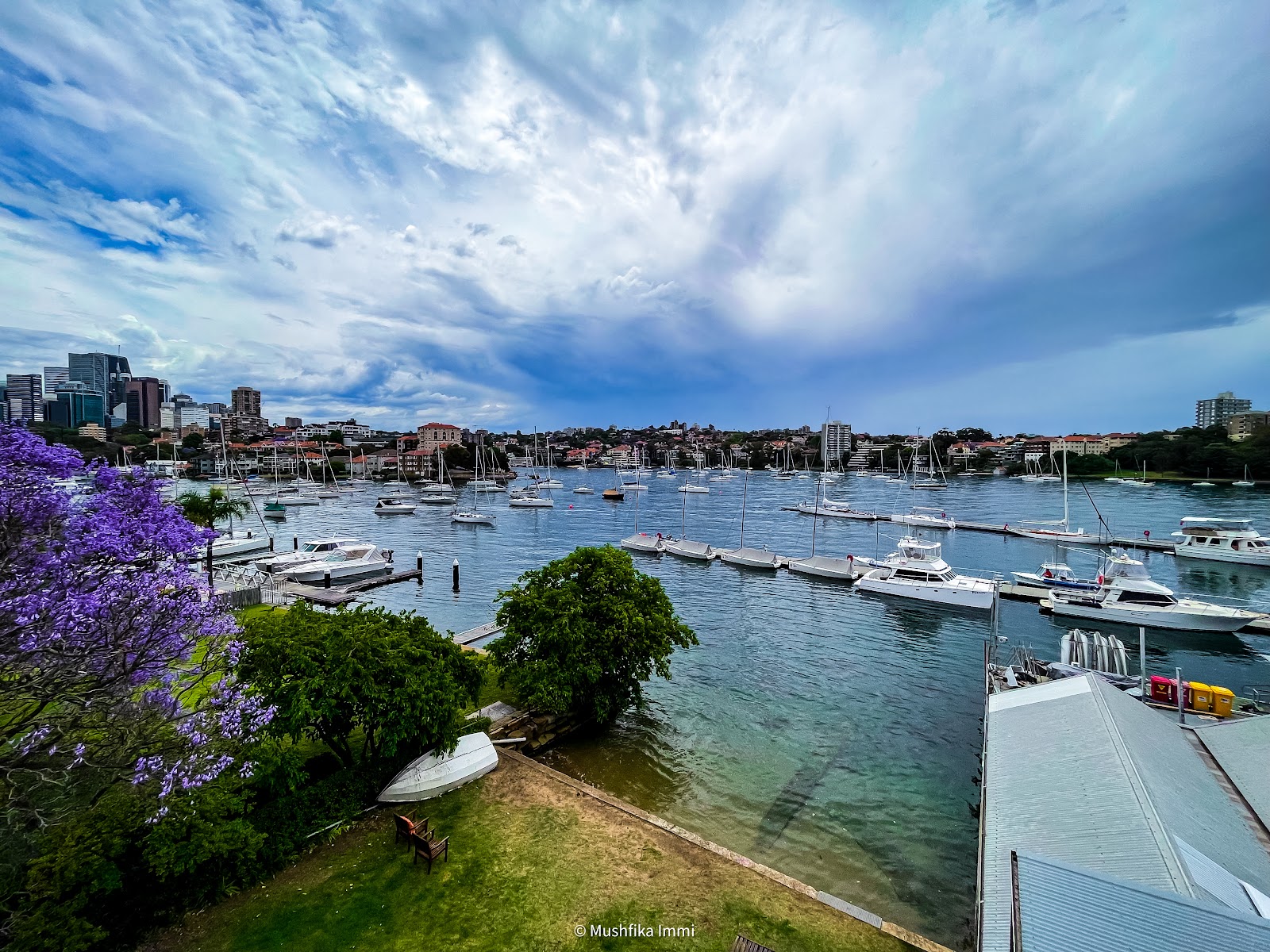 Royal Sydney Yacht Squadron Club in Kirribilli - photo 4