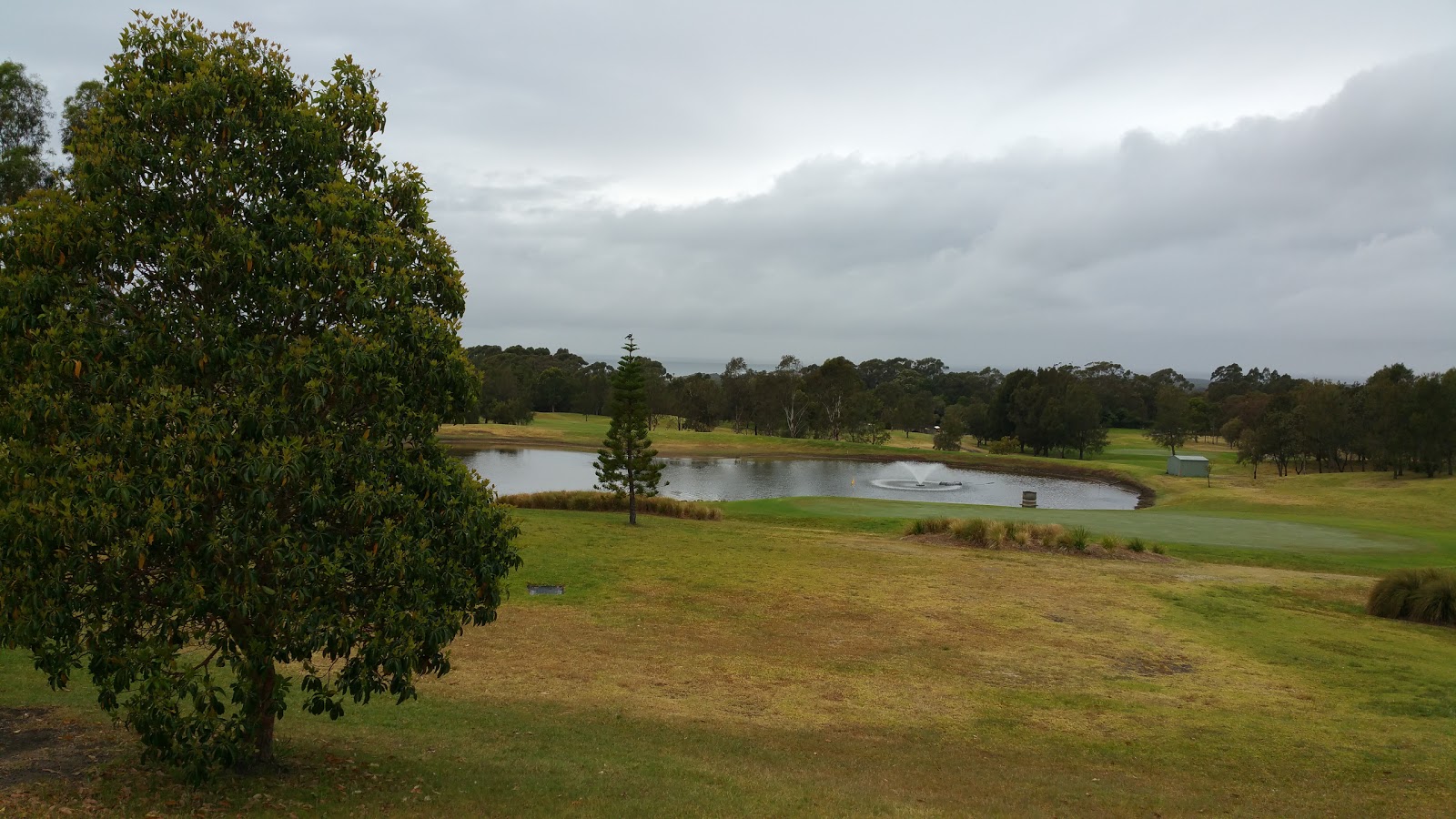 Russell Vale Golf & Social Club Limited in Russell Vale - photo 2