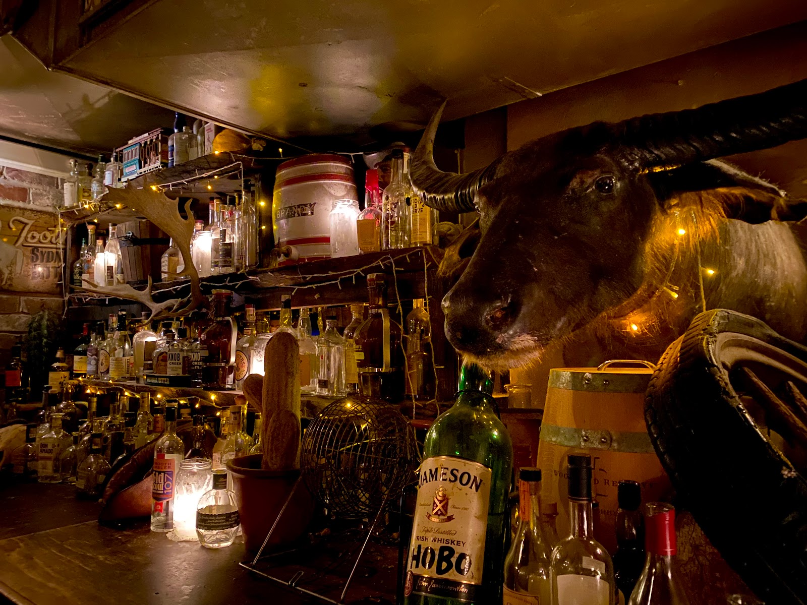 Shady Pines Saloon in Darlinghurst - photo 3