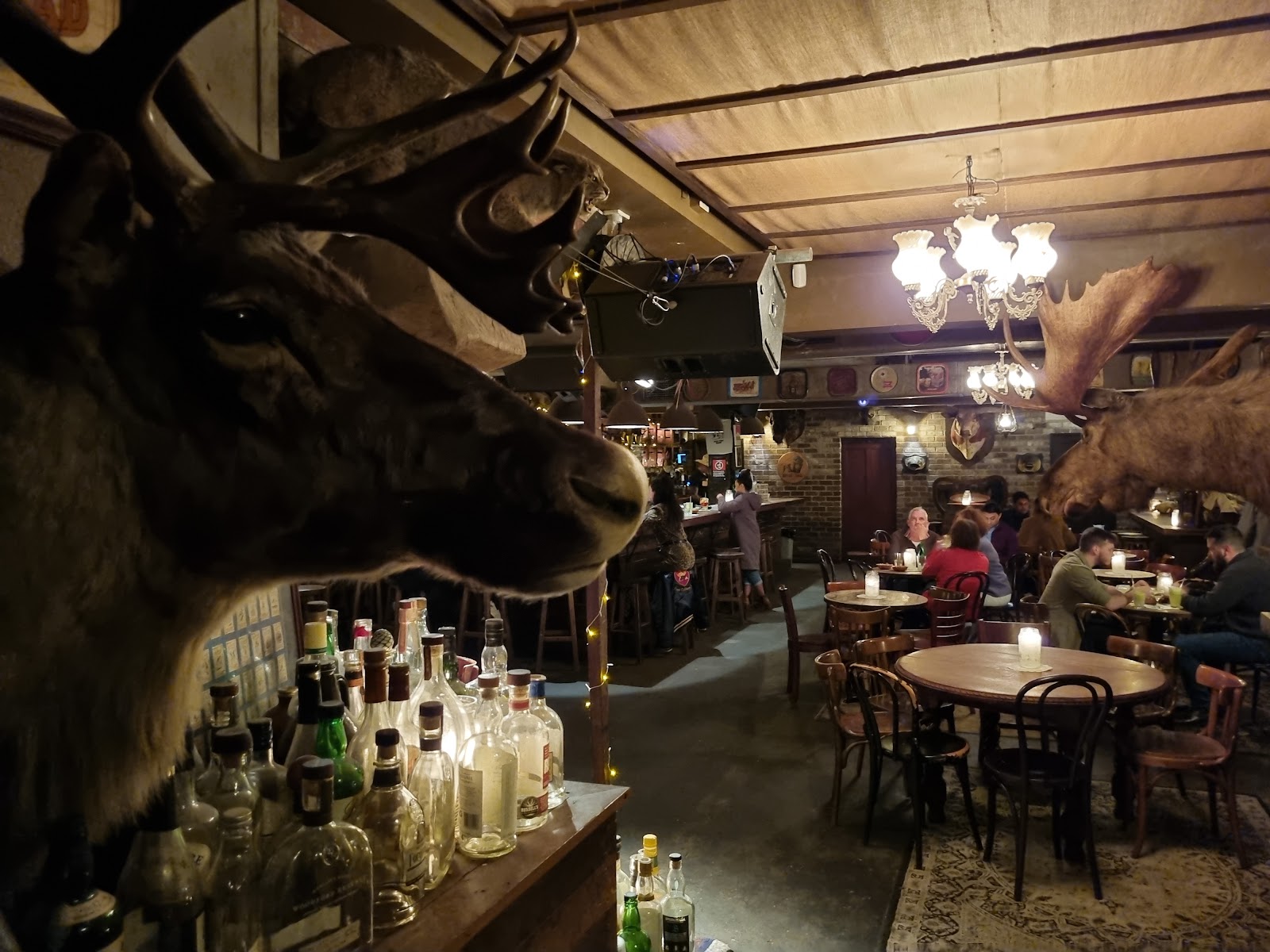 Shady Pines Saloon in Darlinghurst - photo 1
