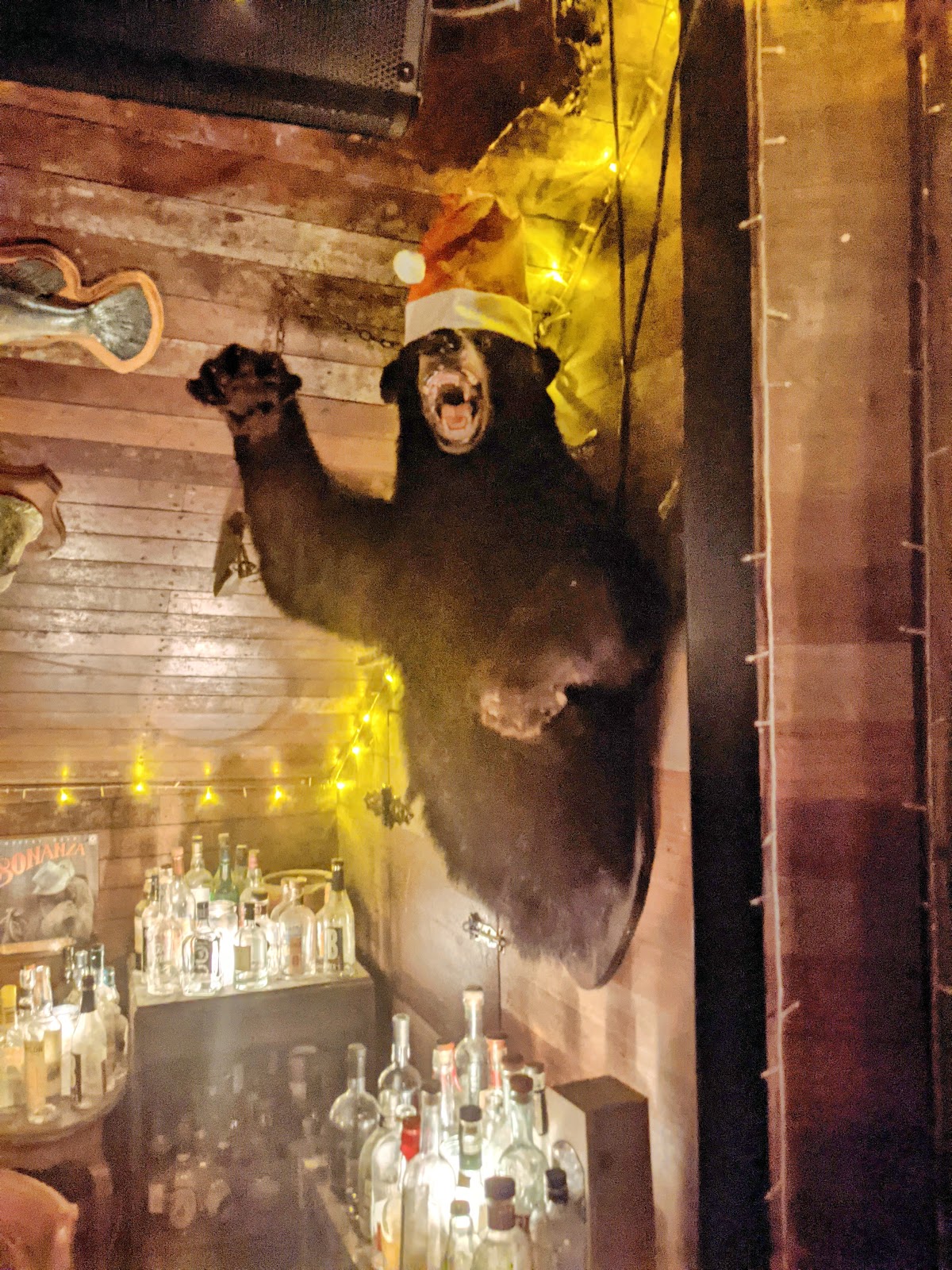 Shady Pines Saloon in Darlinghurst - photo 6