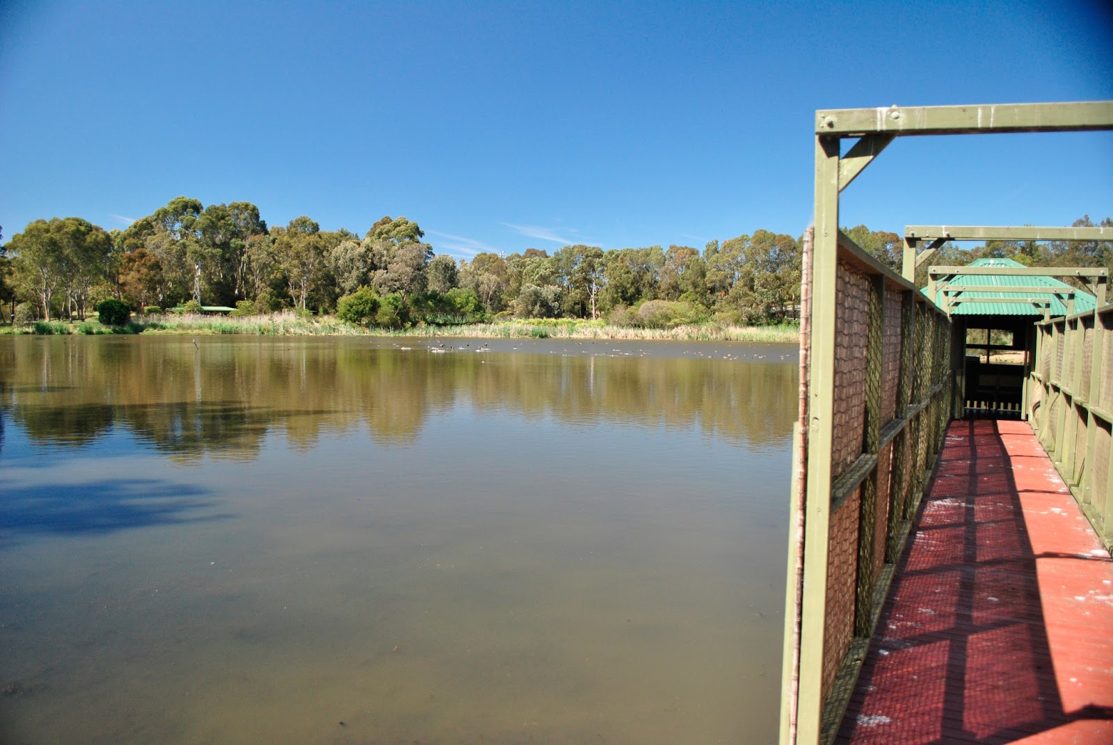 Shortland Waters Golf Club Limited in Birmingham Gardens - photo 5