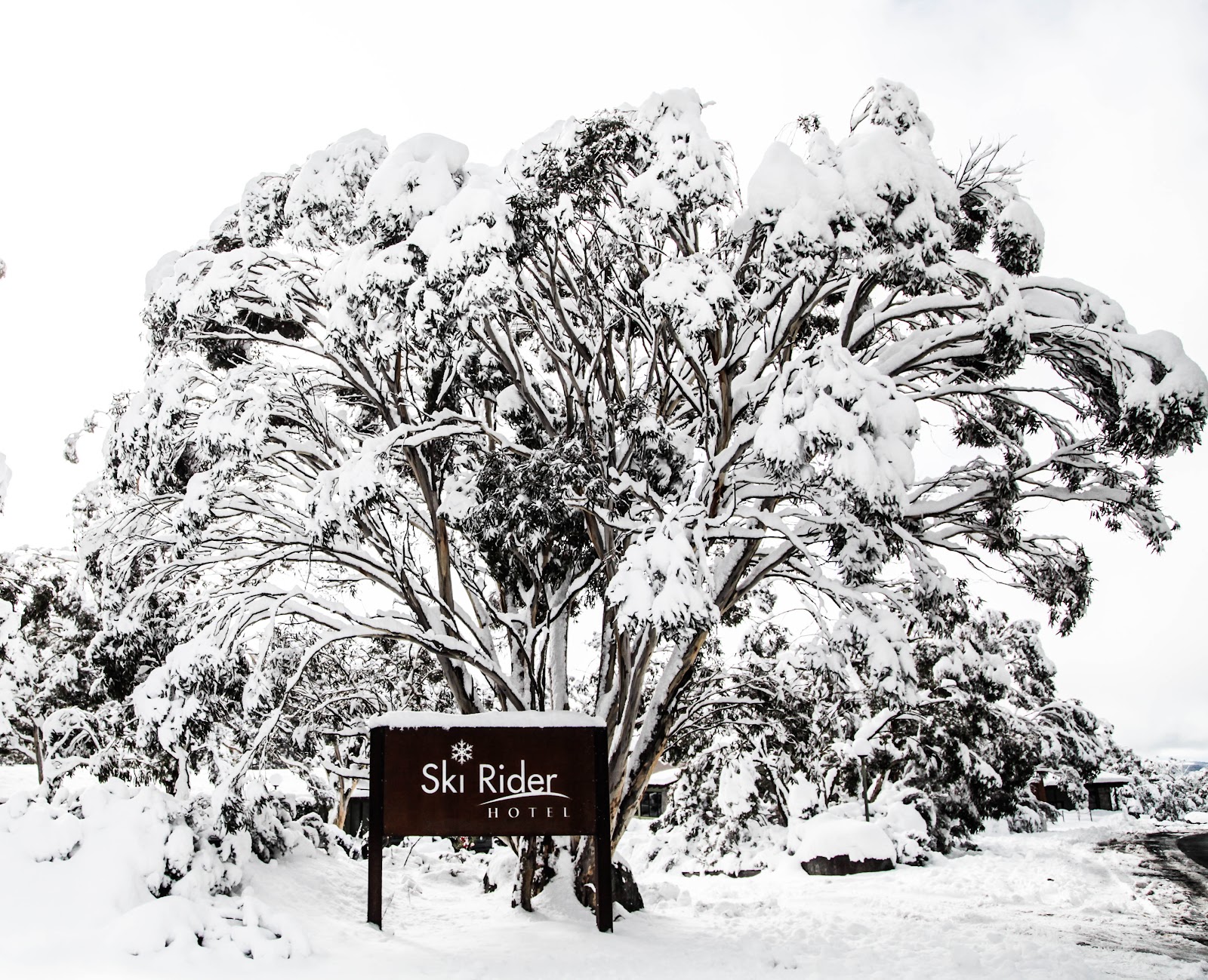Ski Rider Hotel in Wilsons Valley - photo 3