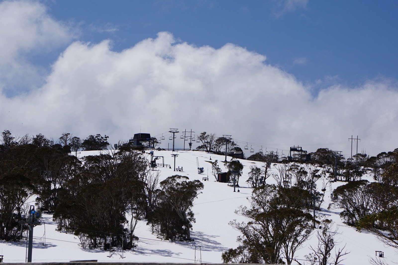 Snow Goose Hotel in Adaminaby - photo 6