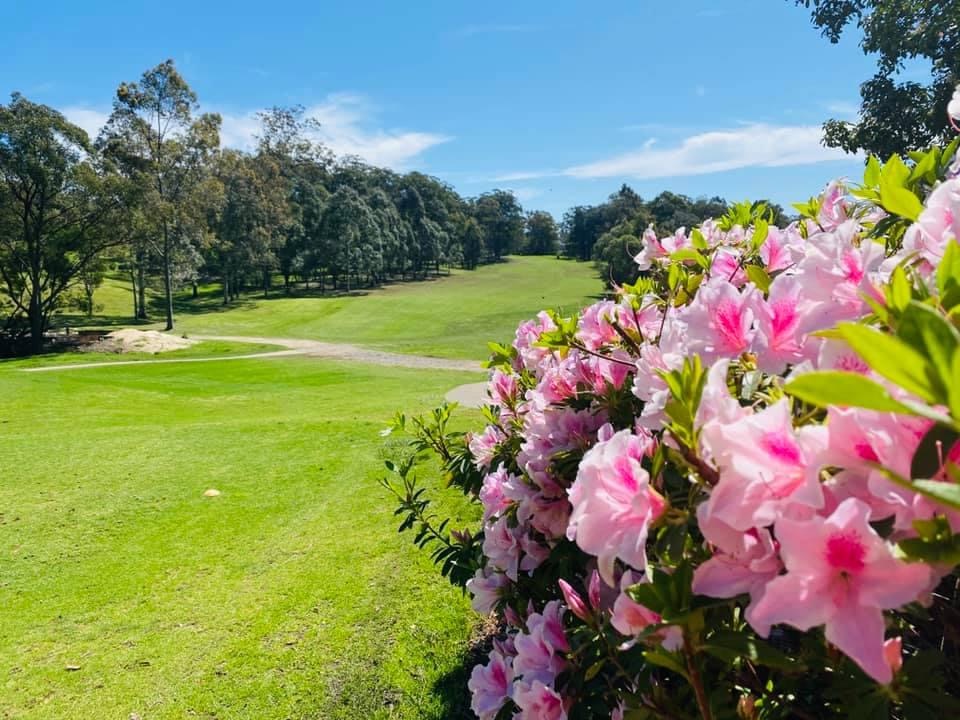 Springwood Country Club Ltd in Springwood - photo 4