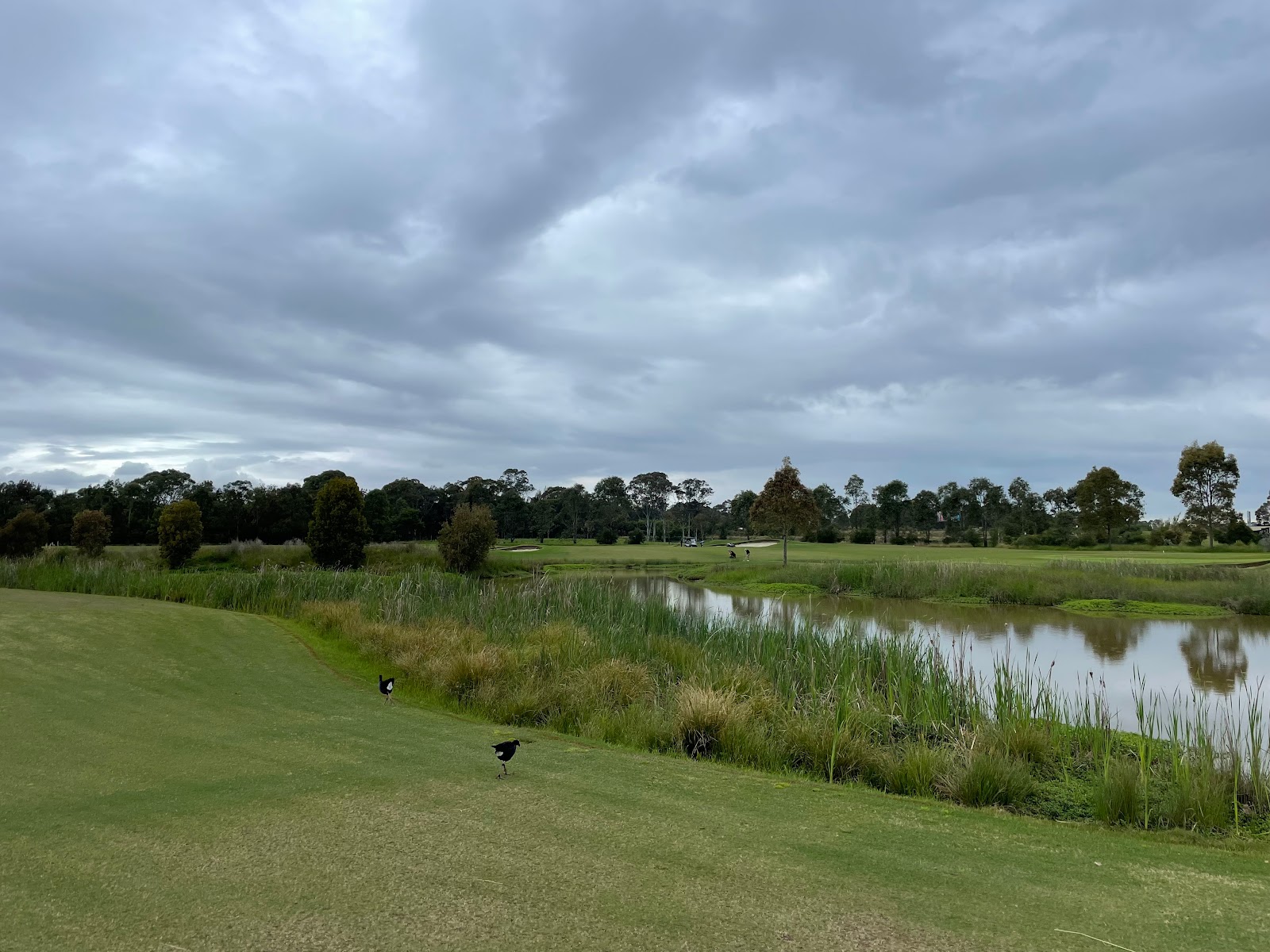 Stonecutters Ridge Golf Club in Colebee - photo 6