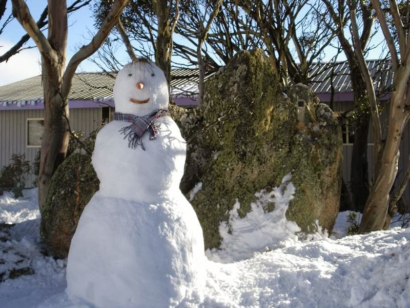 Sundeck Hotel in Perisher Valley - photo 6