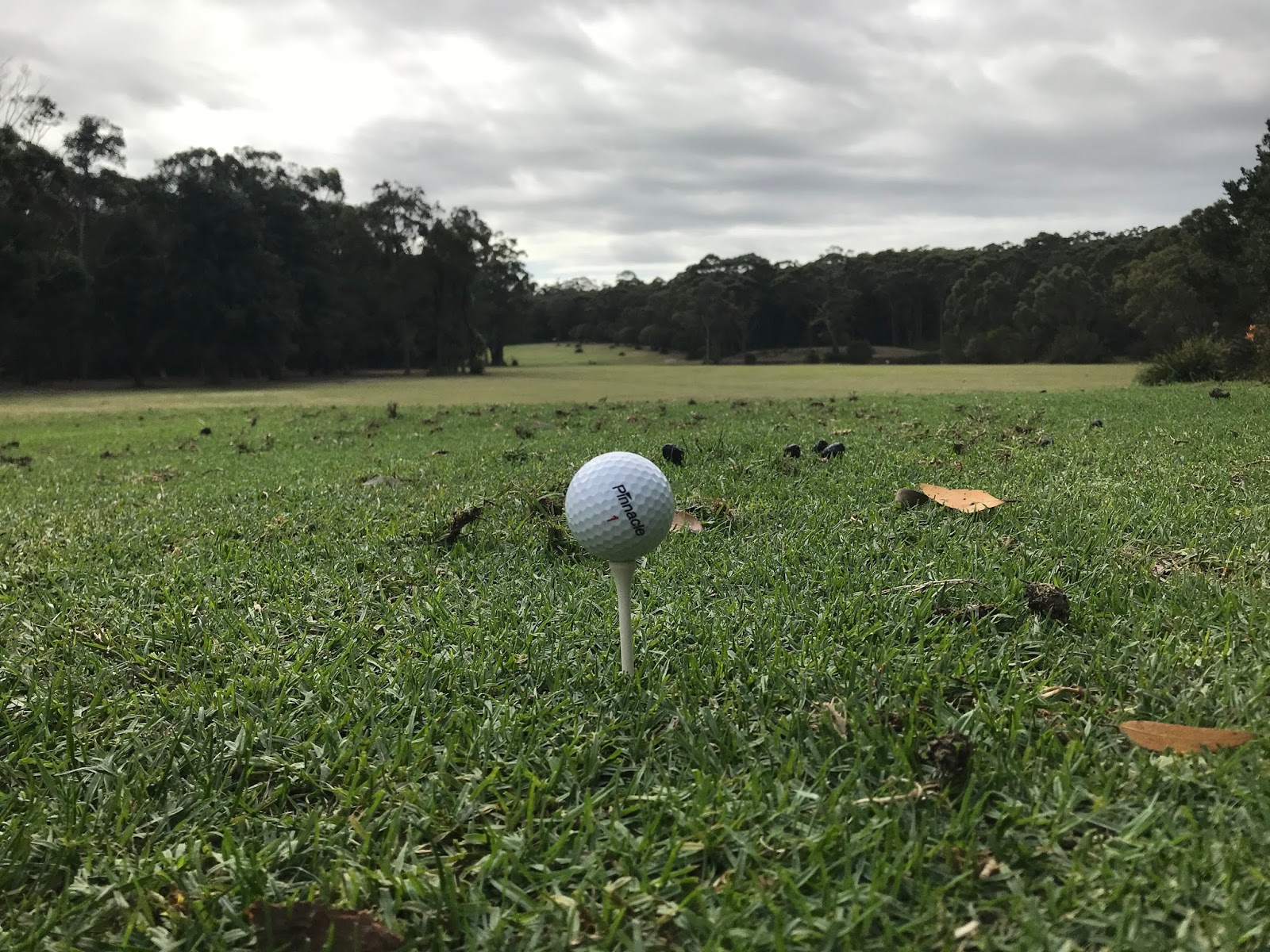 Sussex Inlet Golf Club Limited in Sussex Inlet - photo 5