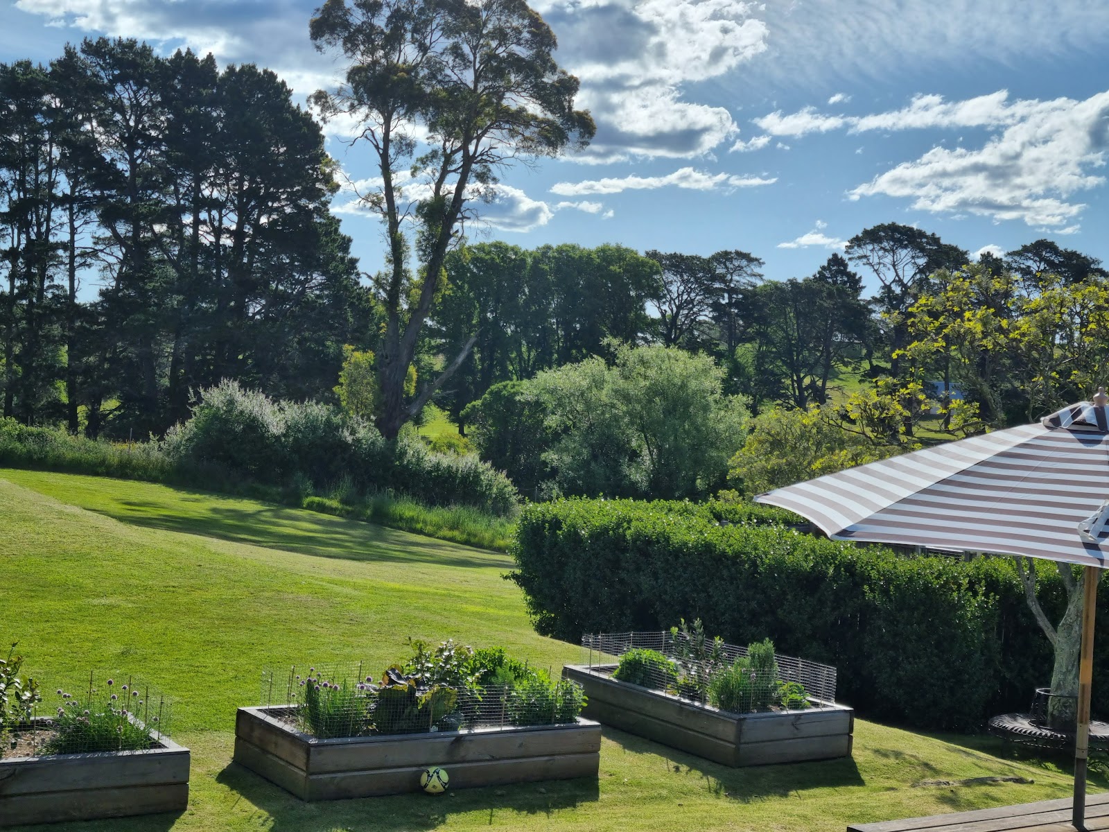 Sutton Forest Inn in Sutton Forest - photo 7
