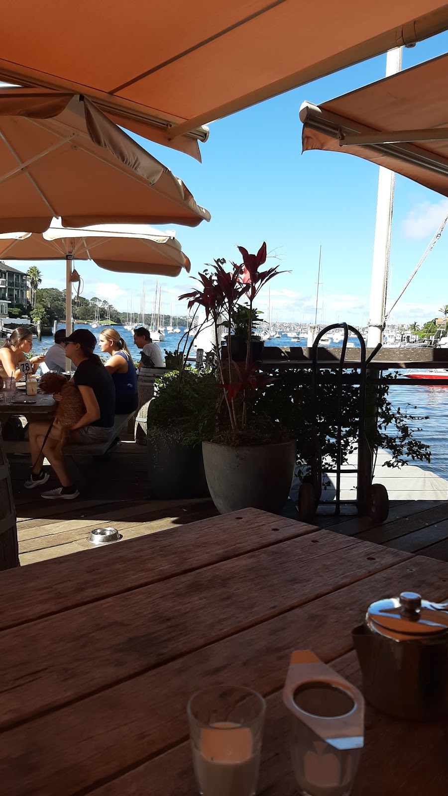 Sydney Flying Squadron Ltd in Kirribilli - photo 4