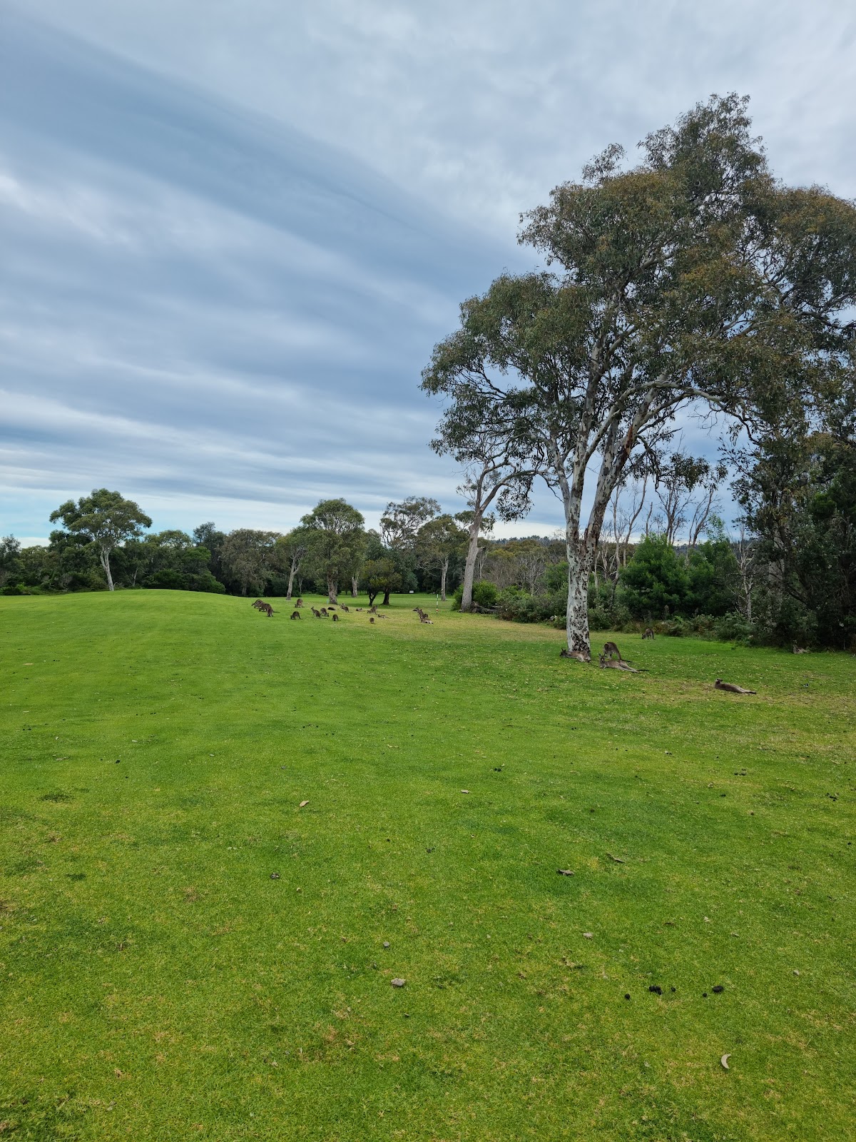 Tathra Beach Country Club Limited in Tathra - photo 1