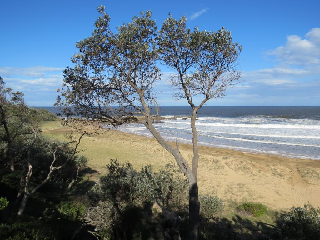 Tathra Beach Country Club Limited in Tathra - photo 3