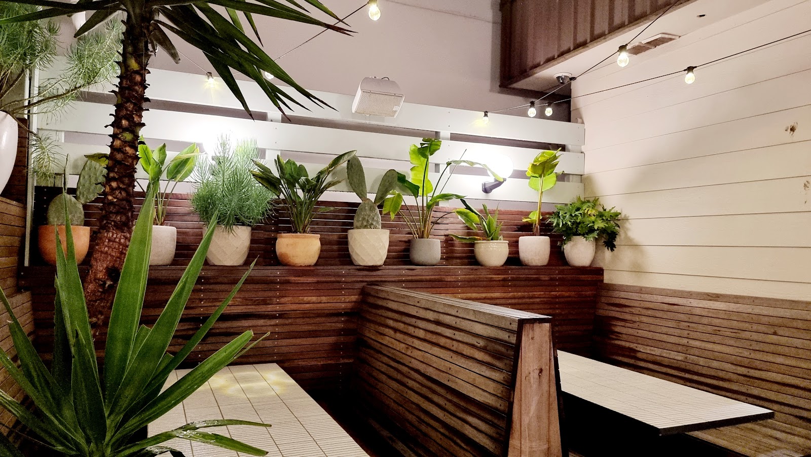 The Alcott in Lane Cove - photo 2
