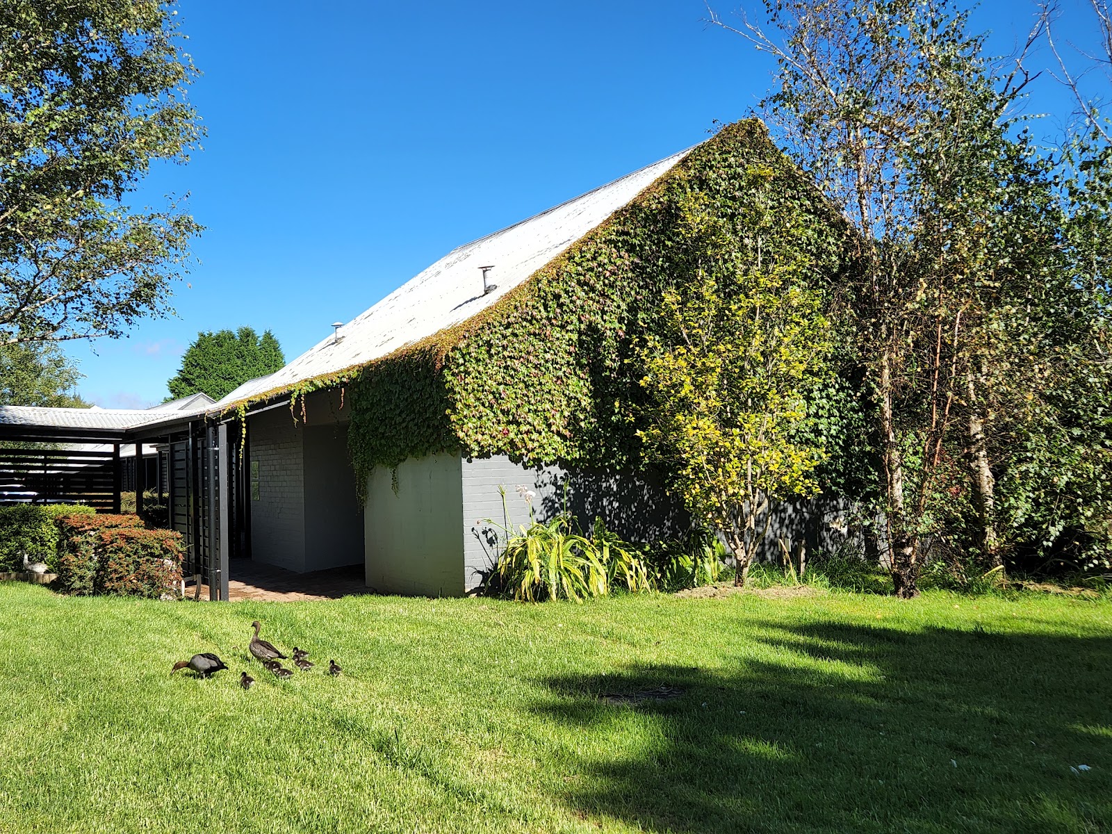 The Briars Inn in Burradoo - photo 5
