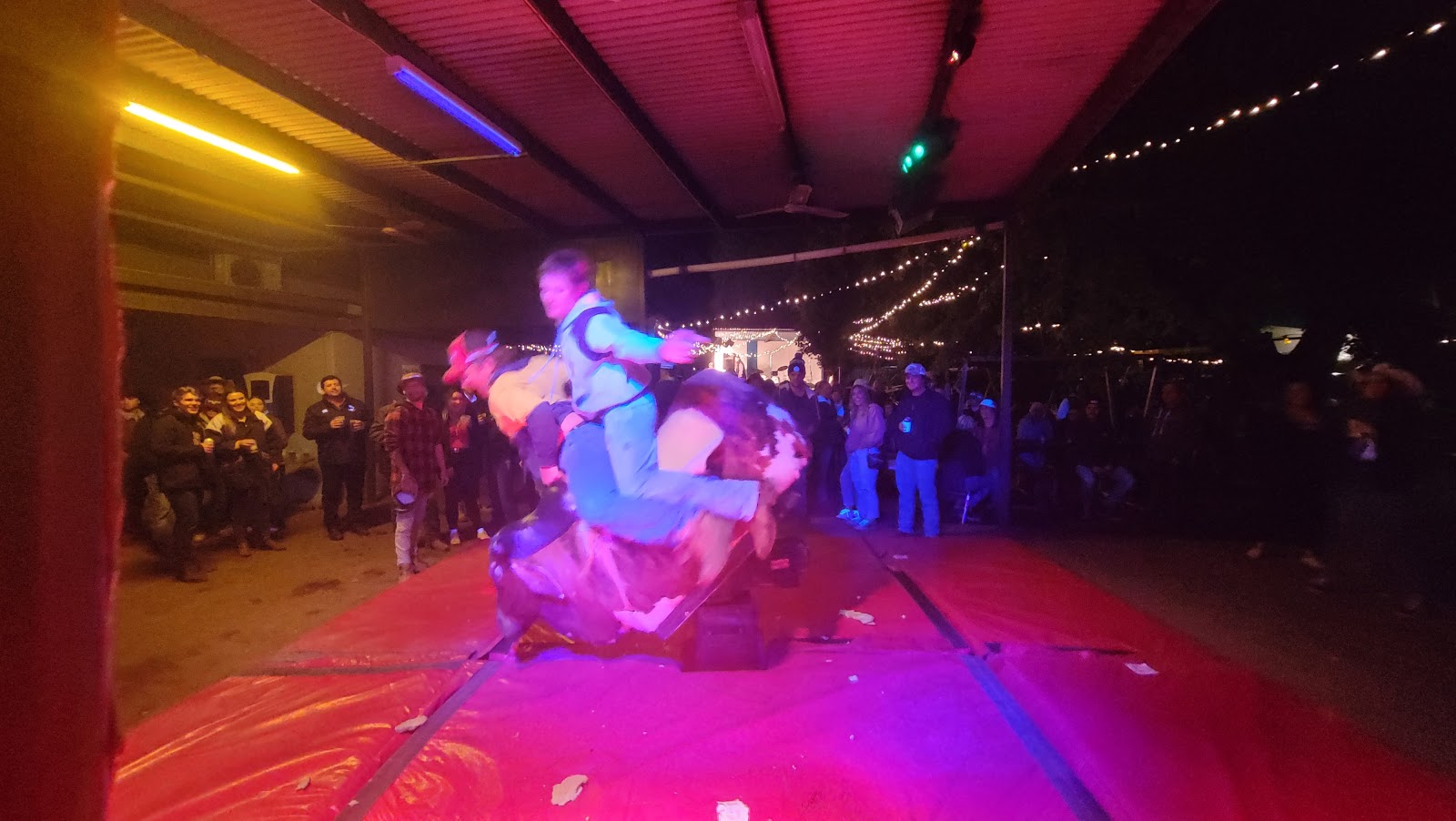 The Bucking Bull Hotel in Coonamble - photo 5