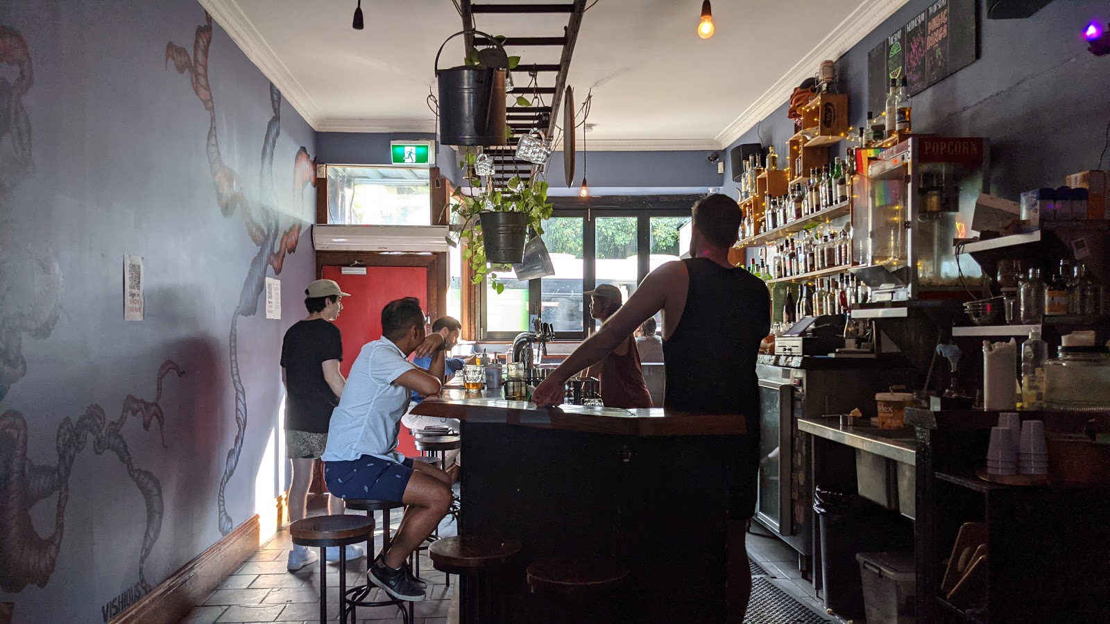 The Little Guy in Glebe - photo 1