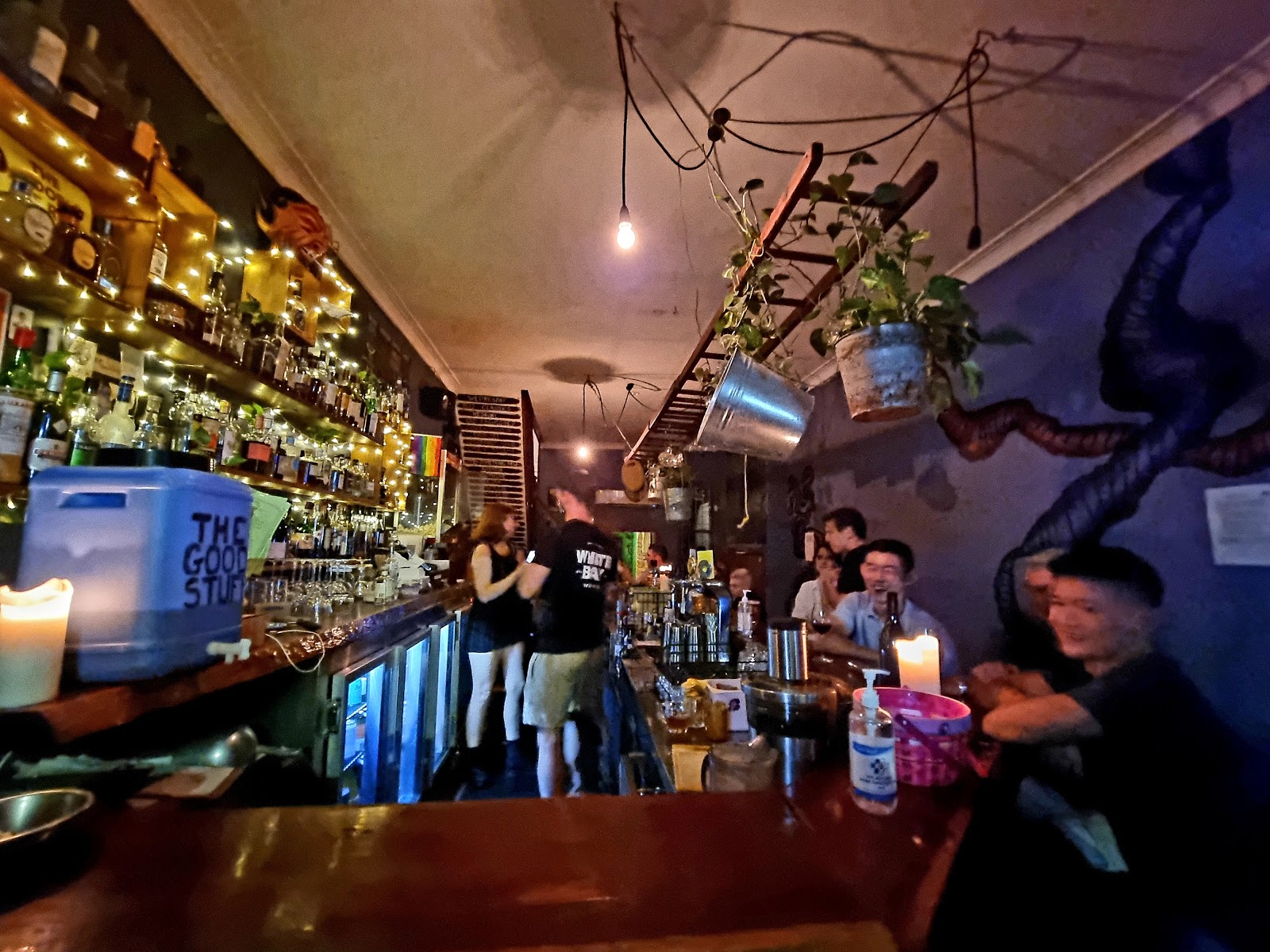 The Little Guy in Glebe - photo 3