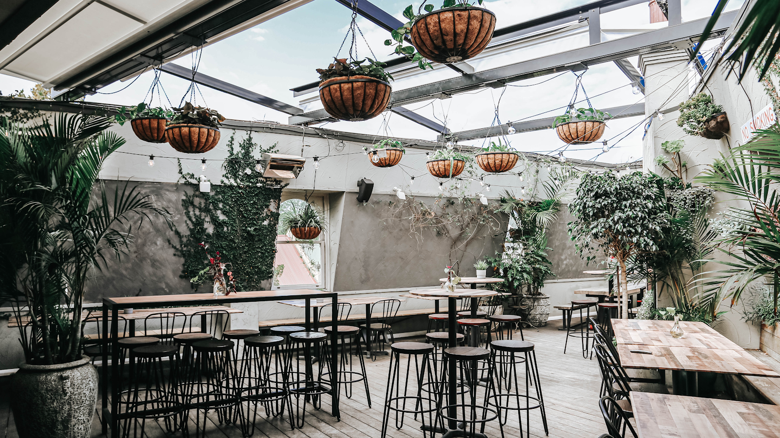 The Local Taphouse (Darlinghurst) Pty Ltd in Darlinghurst - photo 3