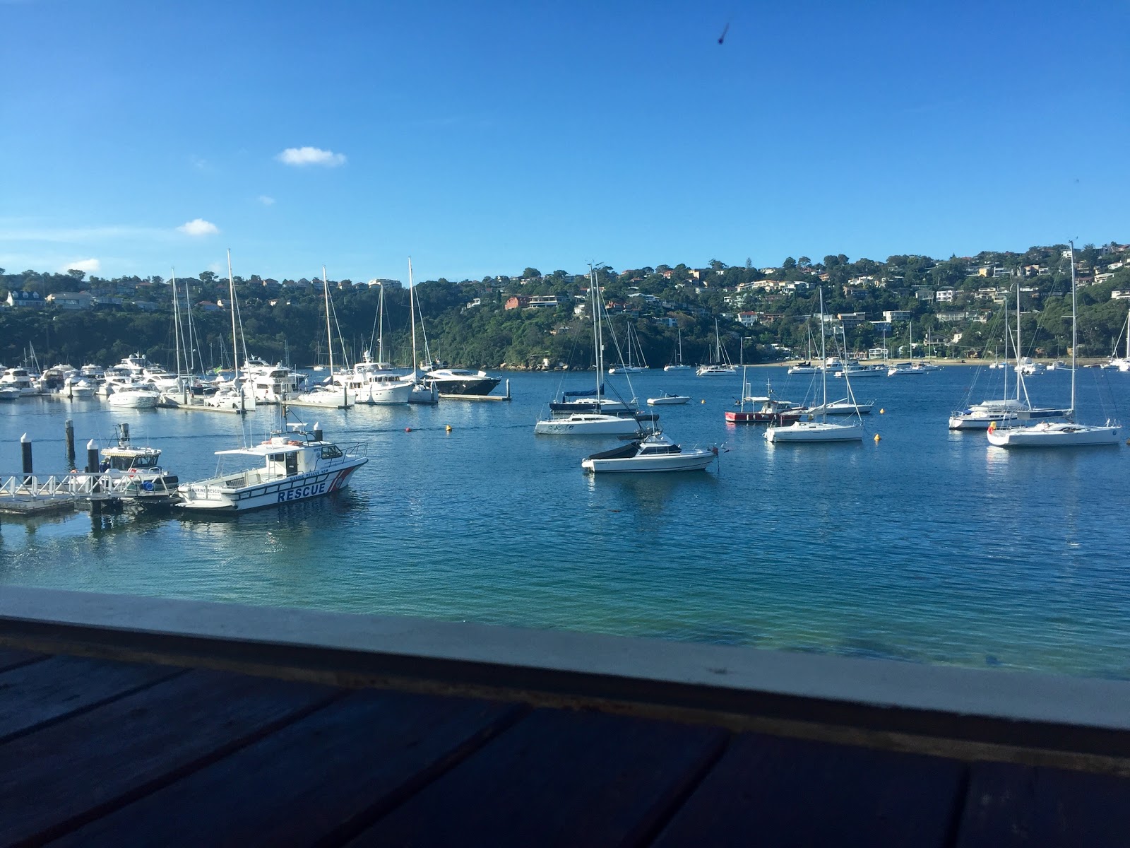 The Middle Harbour 16ft Skiff Sailing Club in Mosman - photo 4