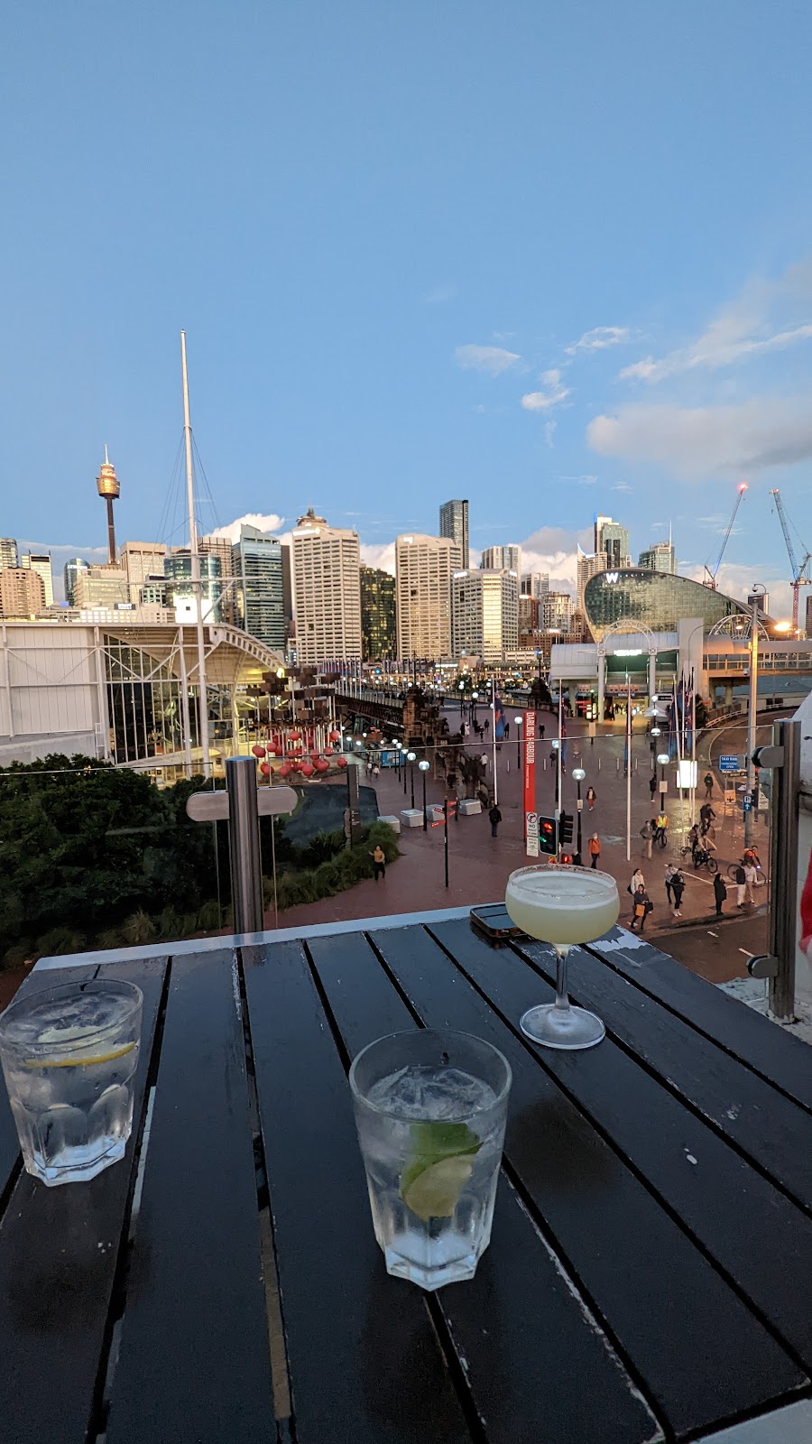 The Pyrmont Bridge Hotel in Pyrmont - photo 5