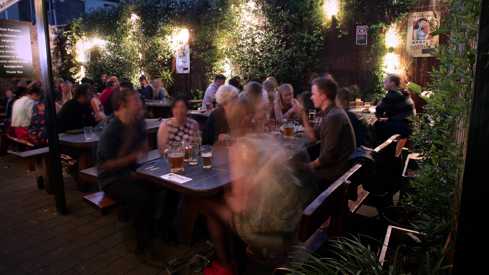 The Rose Hotel in Chippendale - photo 6