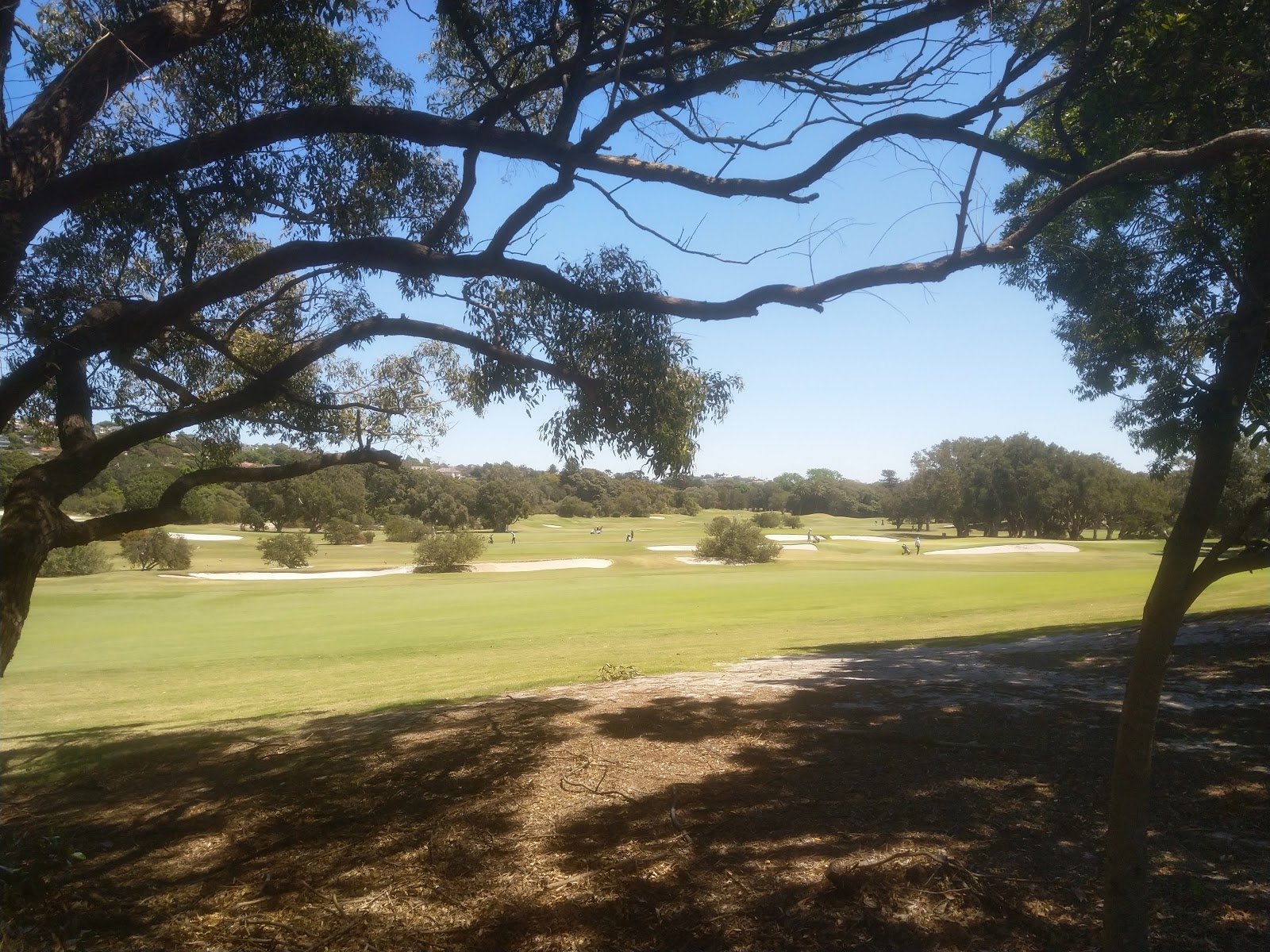 The Royal Sydney Golf Limited in Rose Bay - photo 3