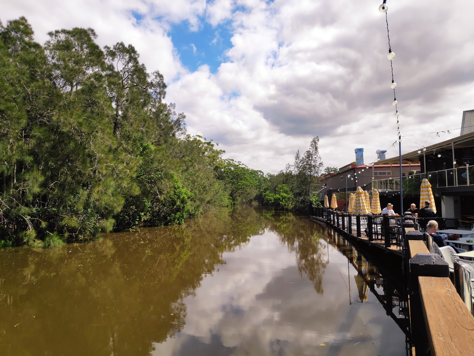 The Sunken Monkey Hotel in Erina - photo 6