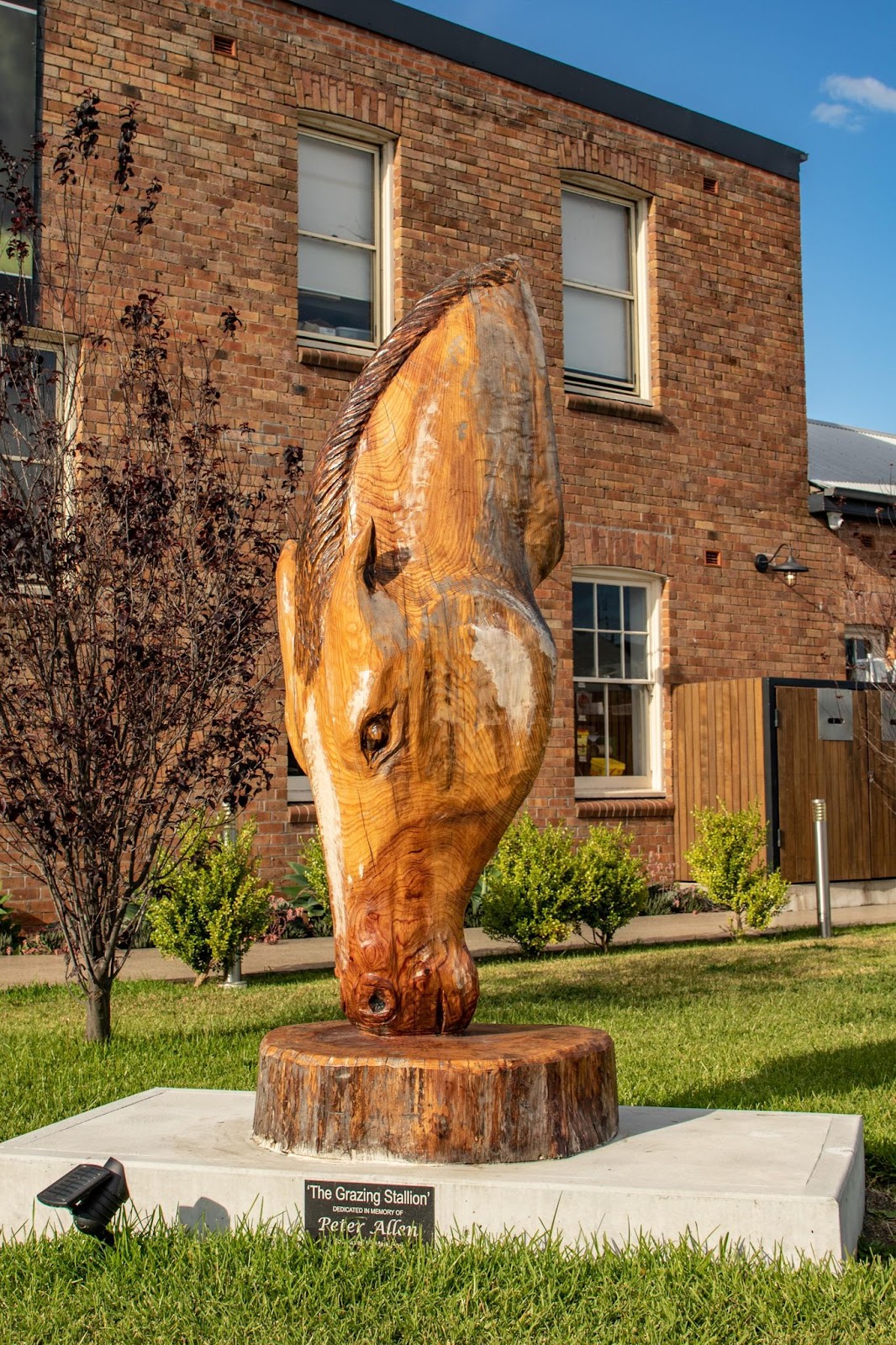 Thoroughbred Hotel in Scone - photo 7