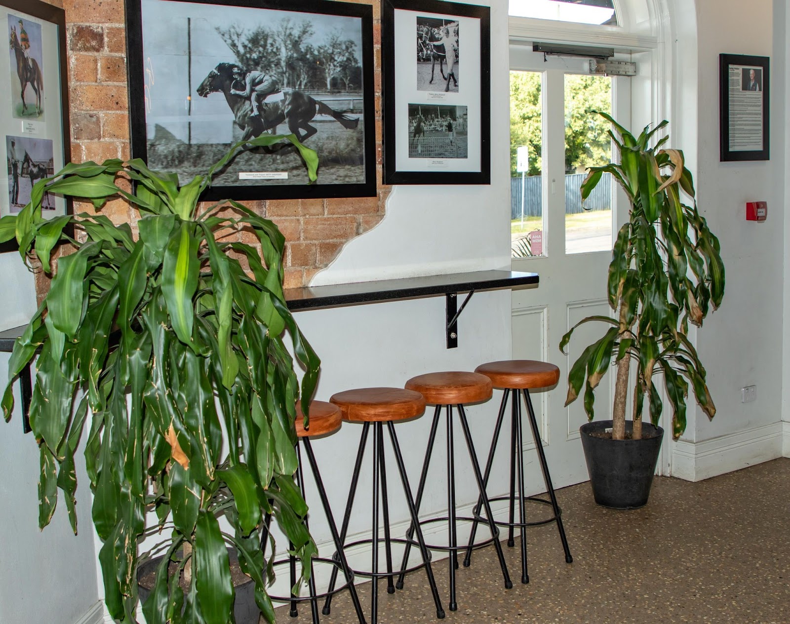 Thoroughbred Hotel in Scone - photo 5