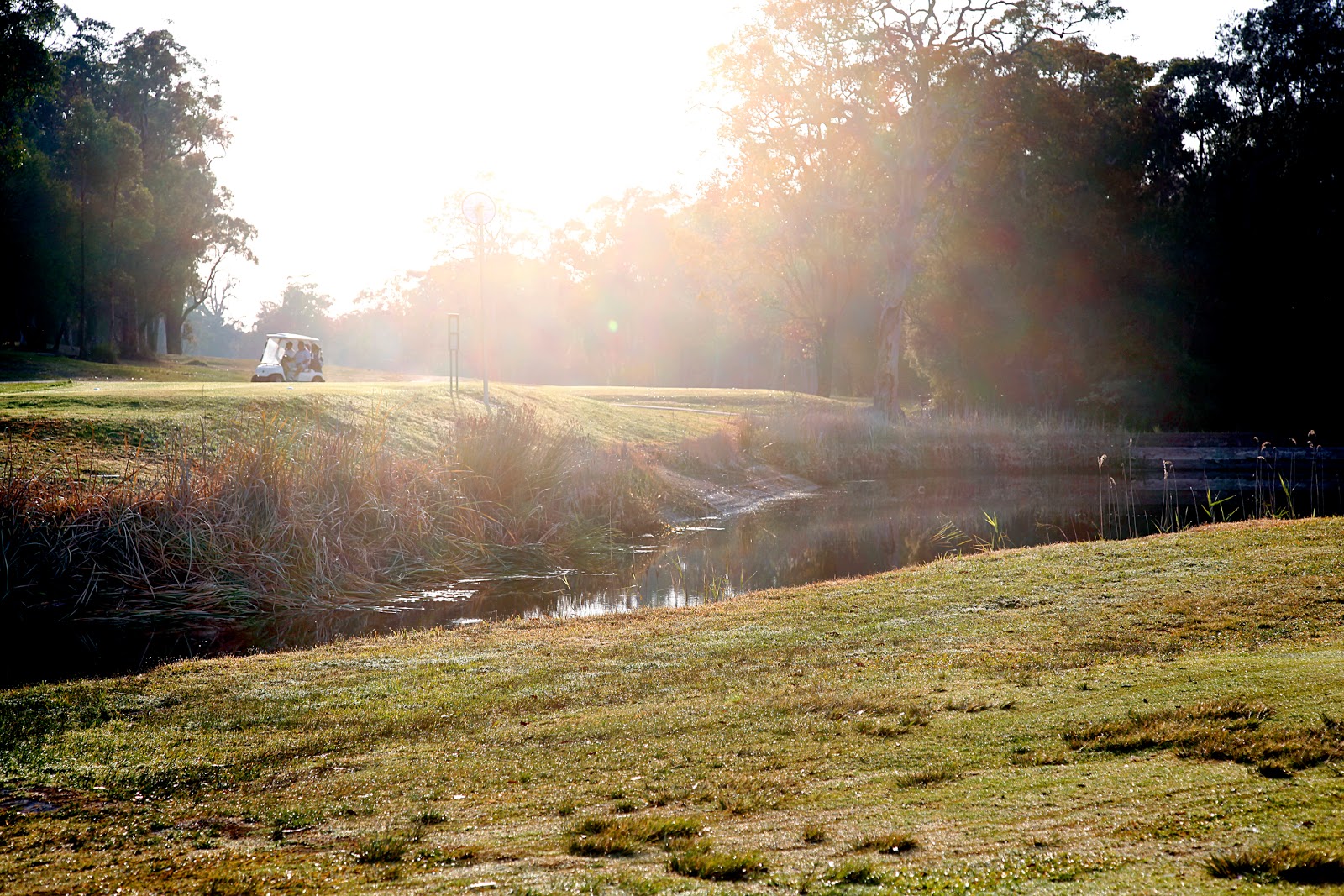 Toronto Country Club Ltd in Toronto - photo 3