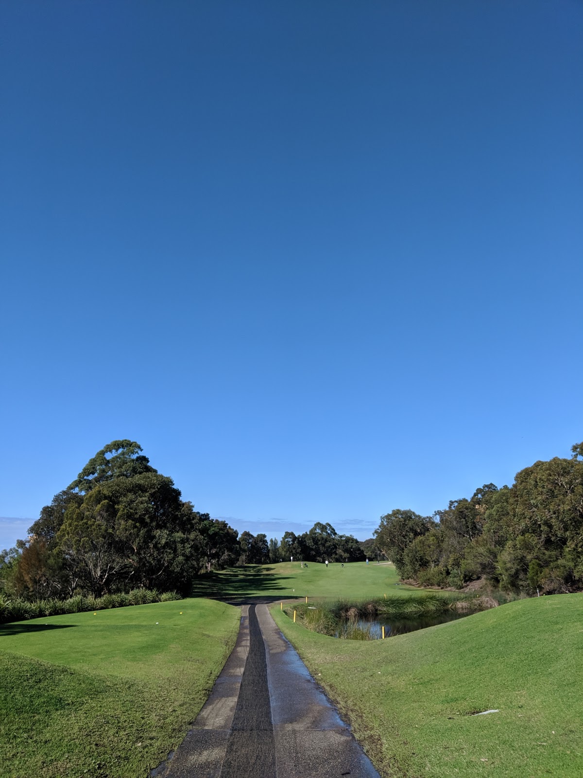 Wakehurst Golf Club Limited in Allambie Heights - photo 5