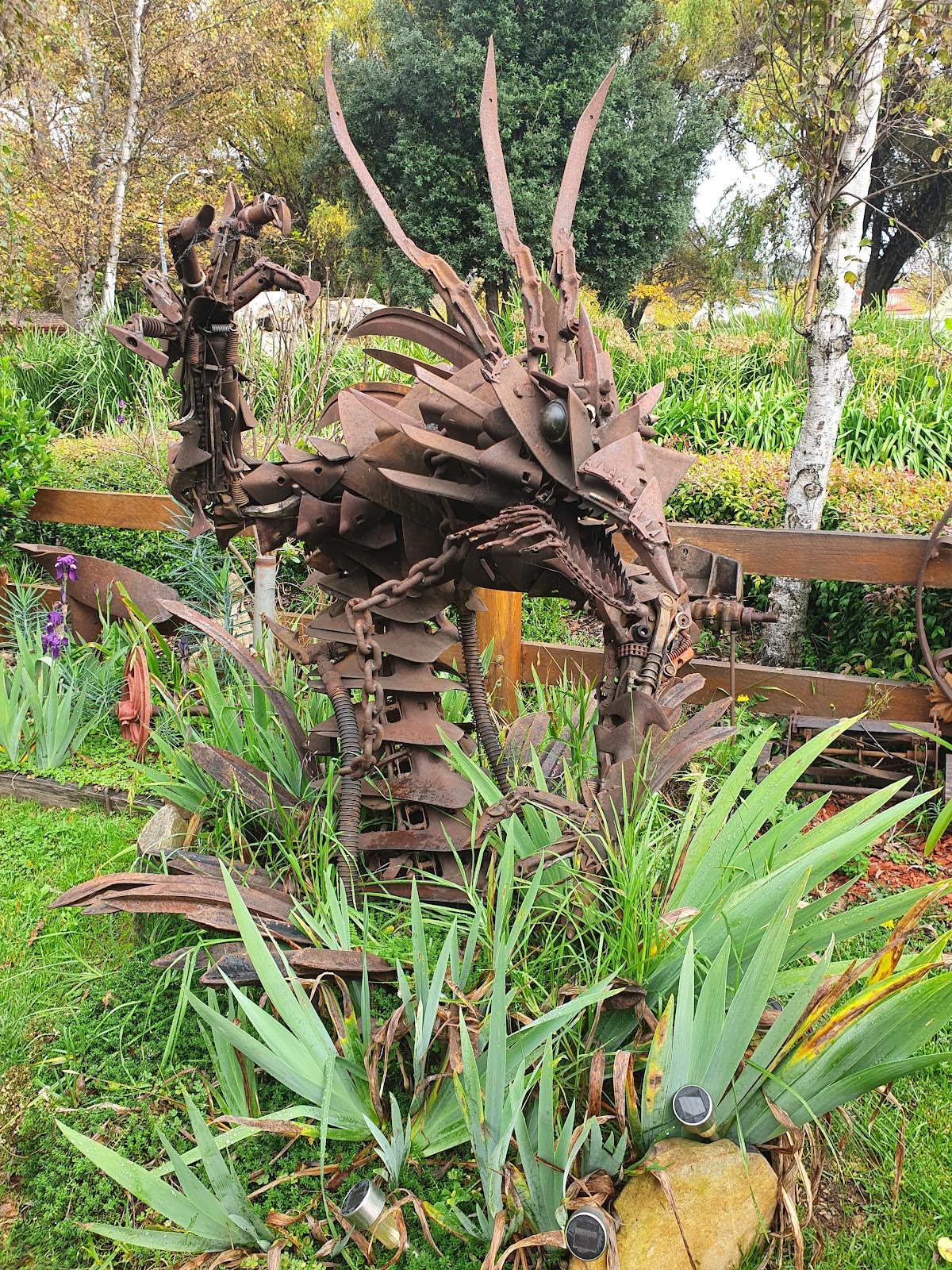 Walcha Road Hotel (Royal) in Walcha - photo 5