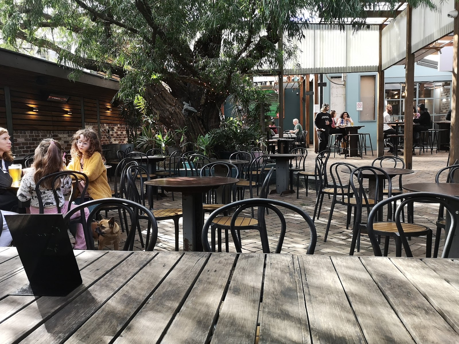 Warren View Hotel in Enmore - photo 3
